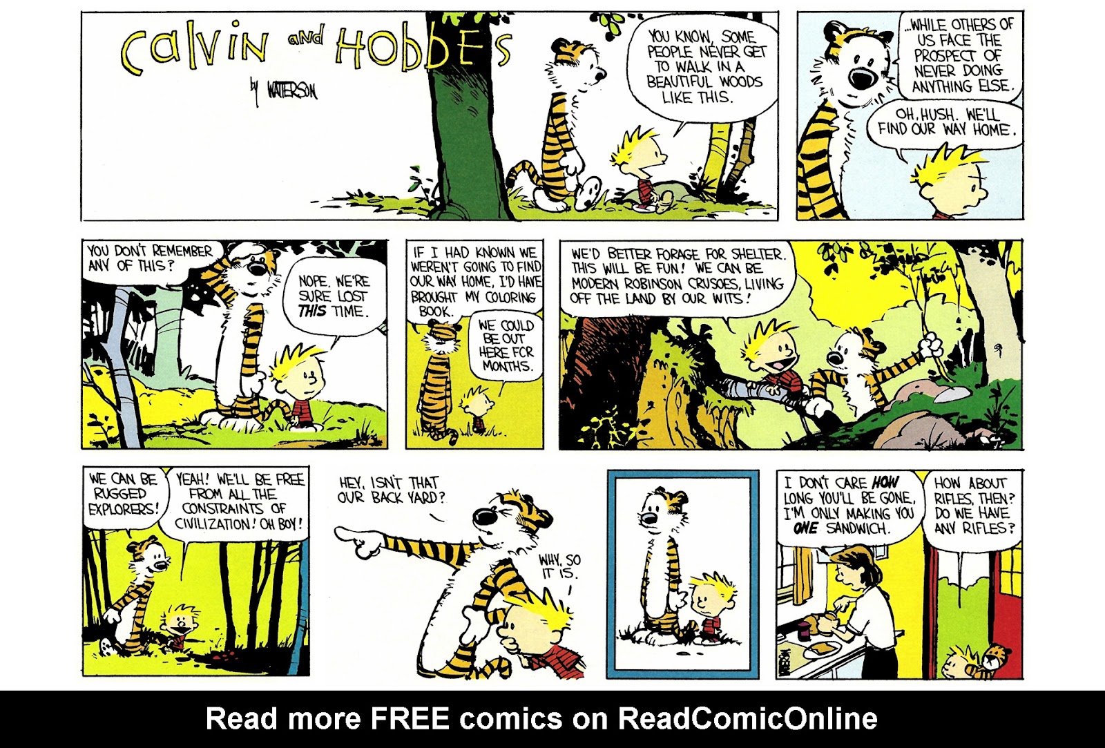 Calvin and Hobbes issue 3 - Page 80