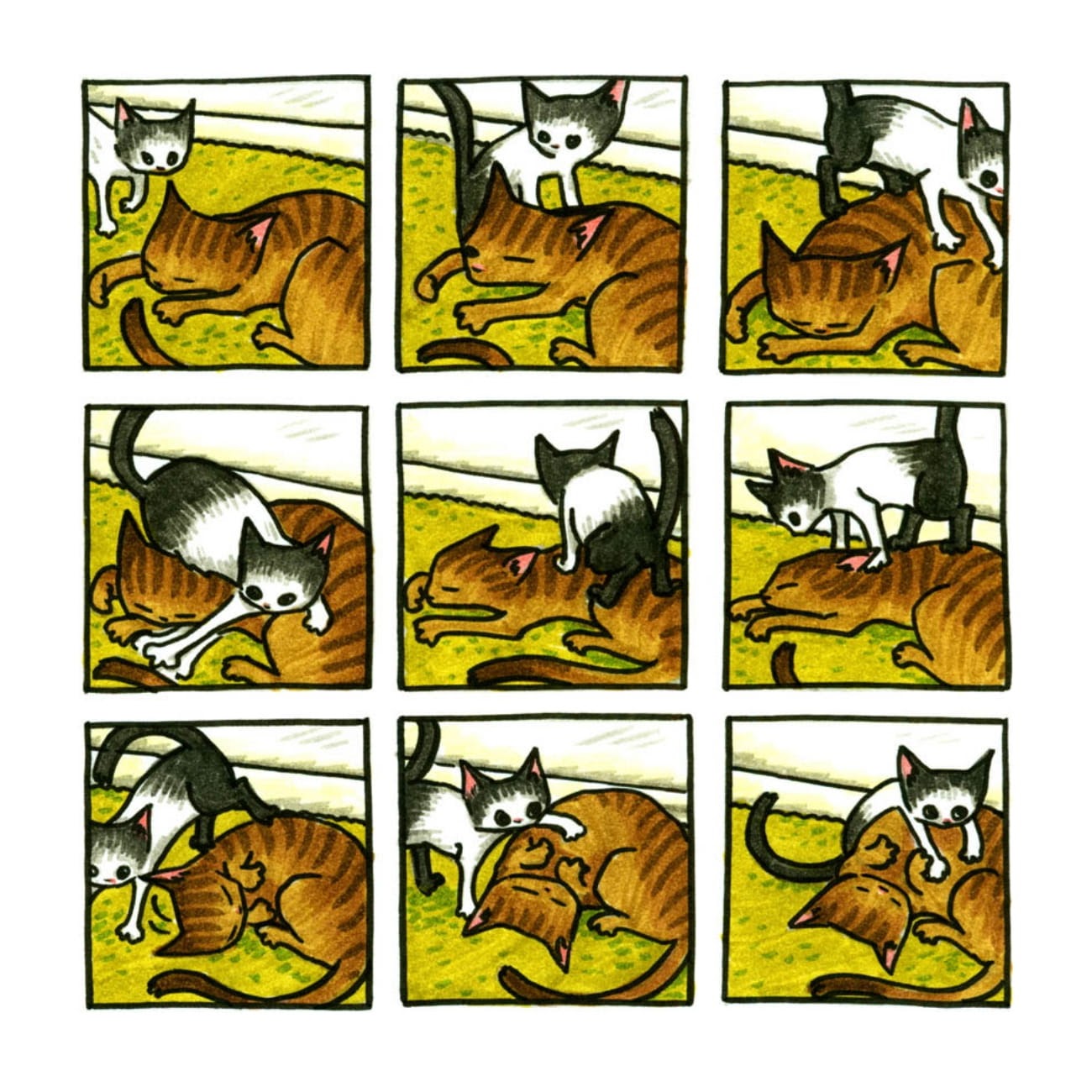 Read online Cats are Weird and More Observations comic -  Issue # TPB - 95