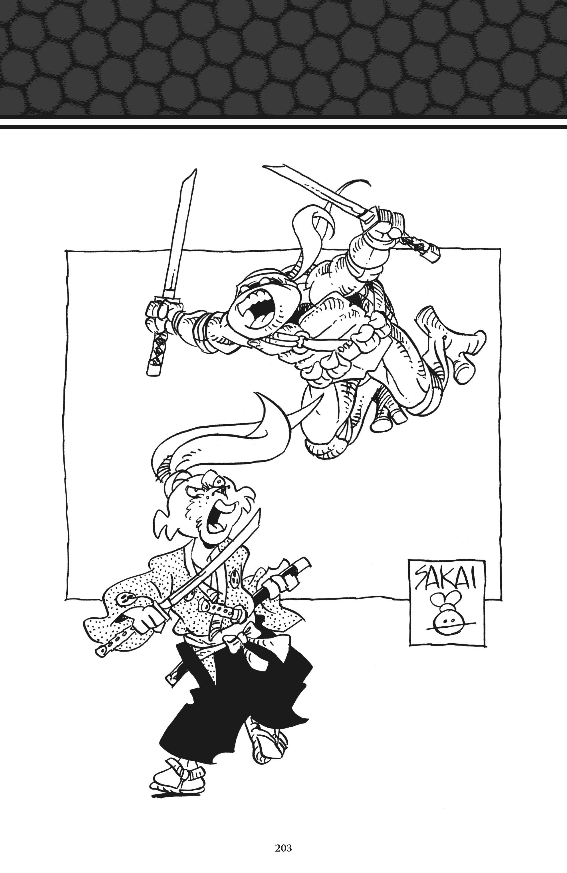 Read online Usagi Yojimbo/Teenage Mutant Ninja Turtles: The Complete Collection comic -  Issue # TPB (Part 2) - 92