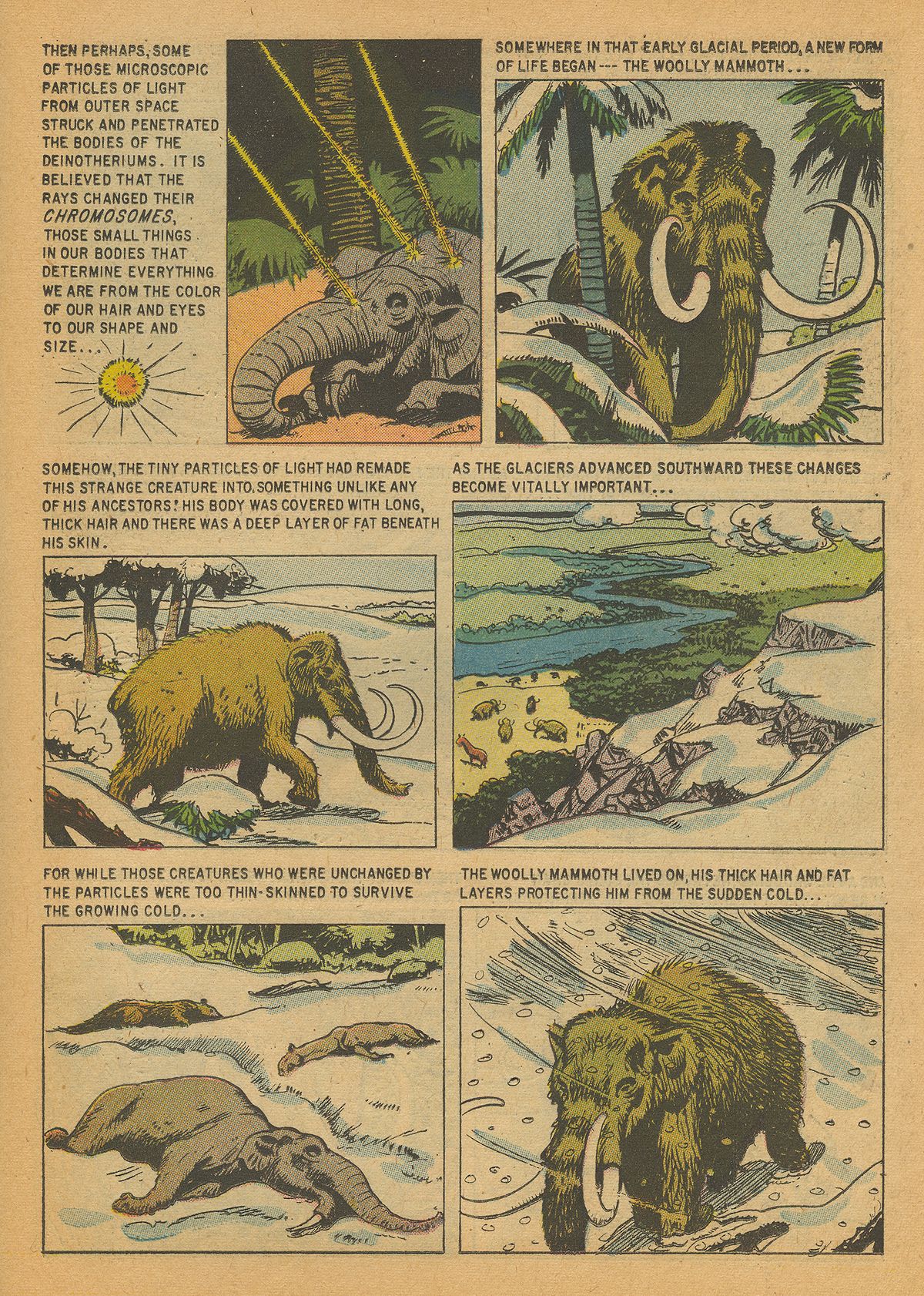 Read online Turok, Son of Stone comic -  Issue #14 - 19