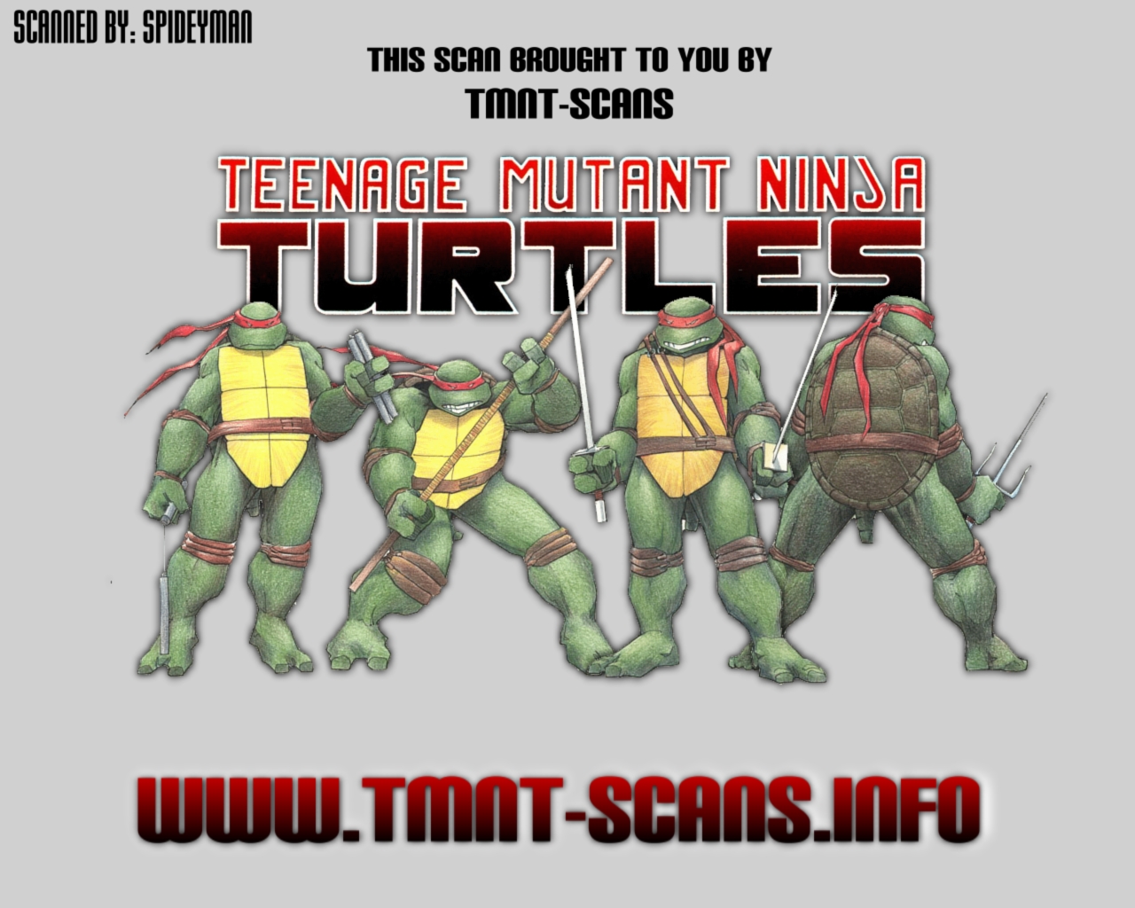 Teenage Mutant Ninja Turtles (1996) Issue #23 #23 - English 22