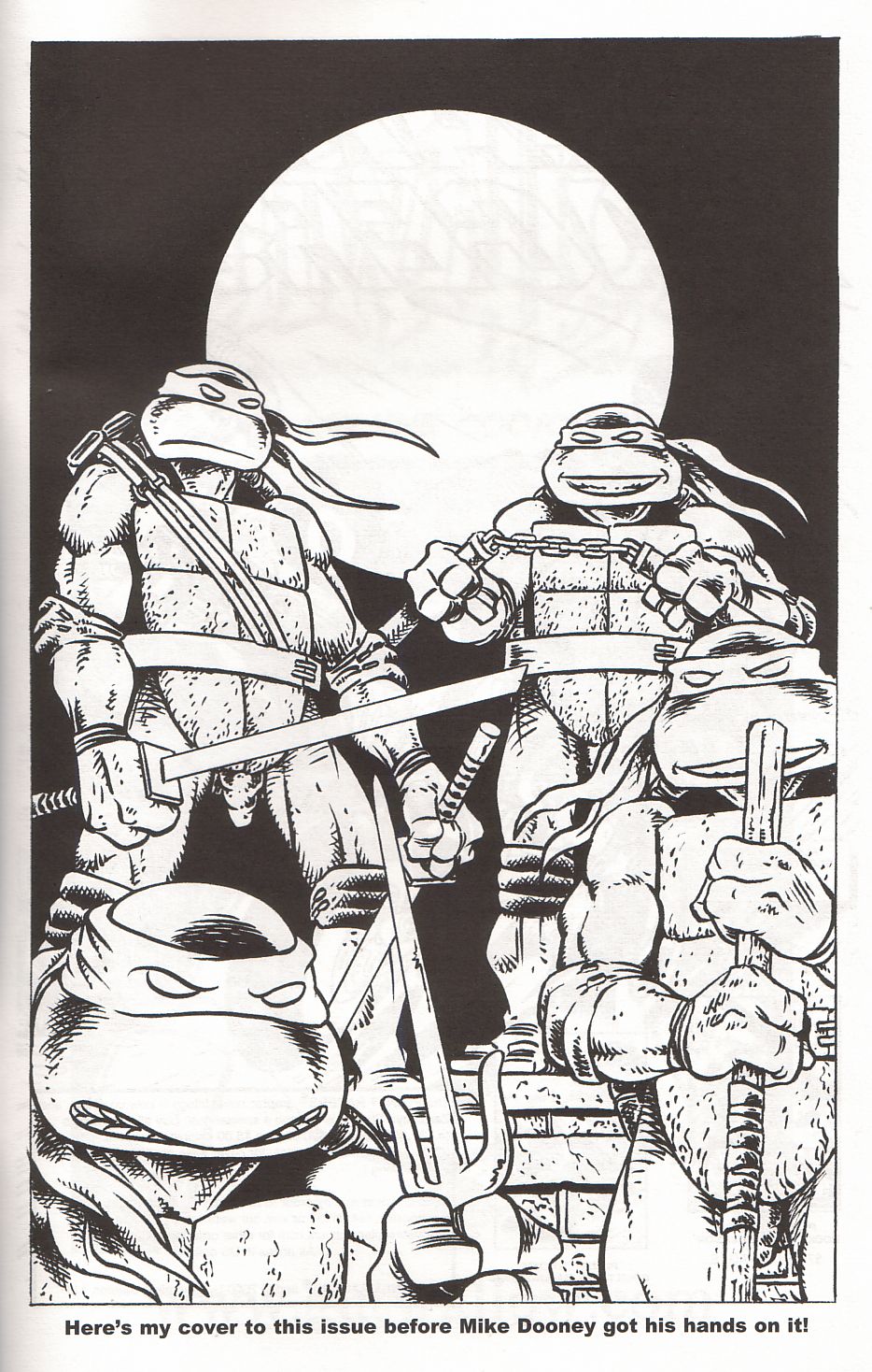 TMNT: Teenage Mutant Ninja Turtles Issue #1 #1 - English 35