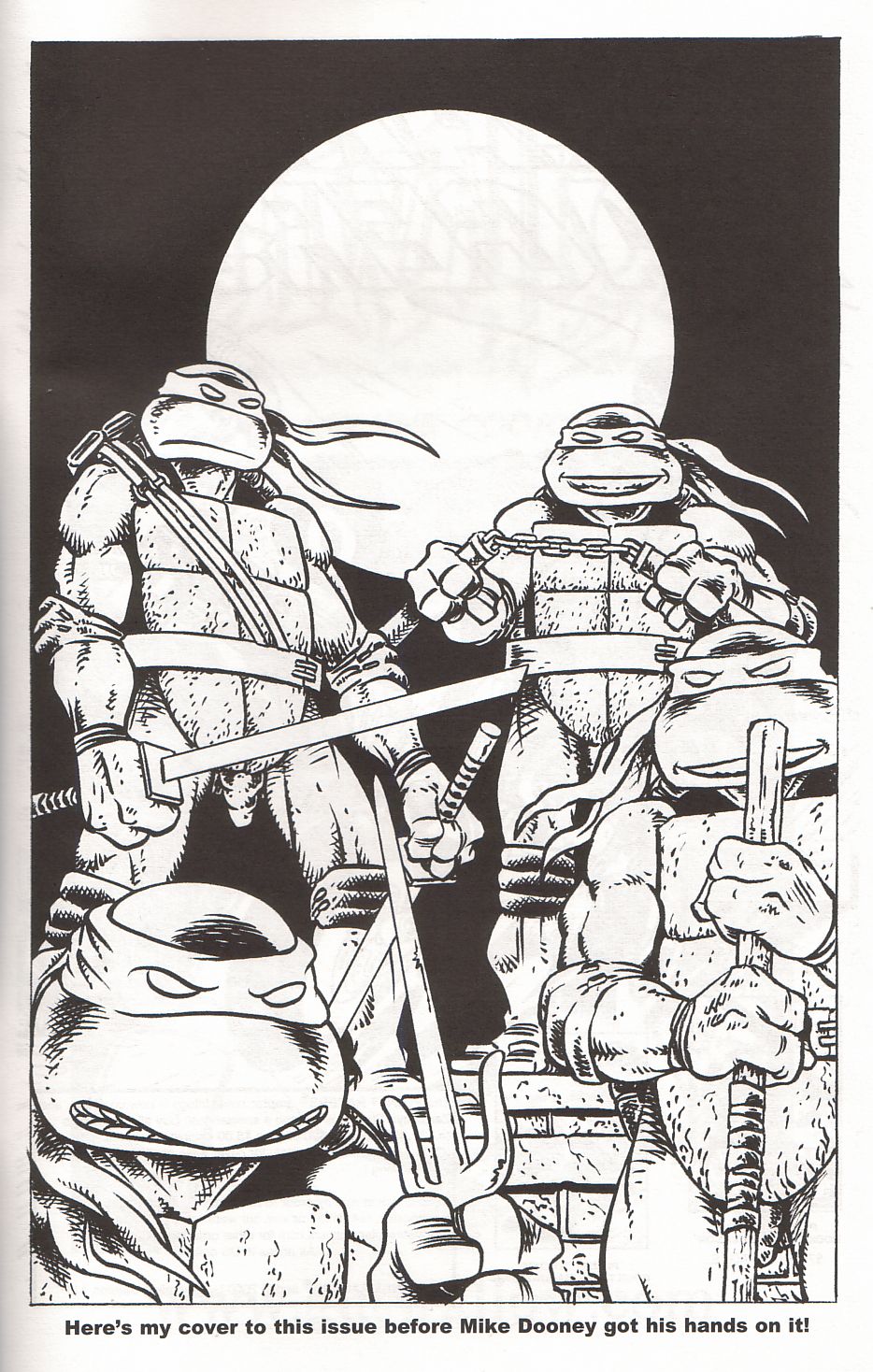 TMNT: Teenage Mutant Ninja Turtles issue 1 - Page 35