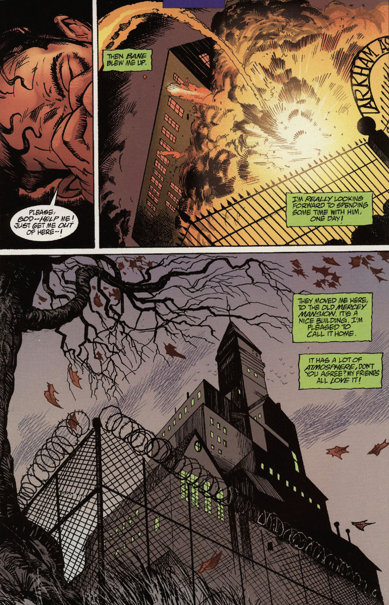 Read online Batman Villains Secret Files comic -  Issue # Full - 15