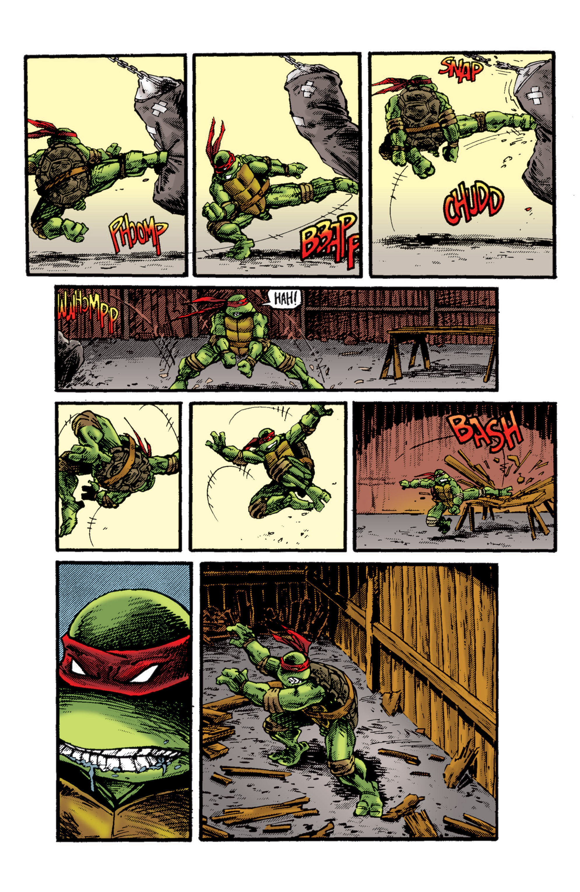 Read online Teenage Mutant Ninja Turtles Color Classics (2012) comic -  Issue #11 - 23