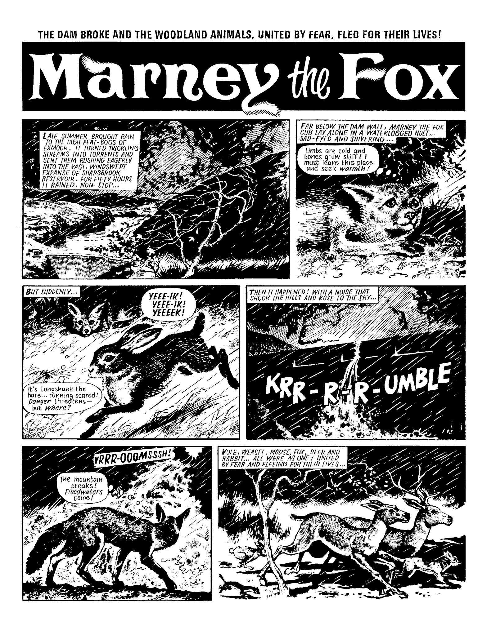 Read online Marney the Fox comic -  Issue # TPB (Part 1) - 23
