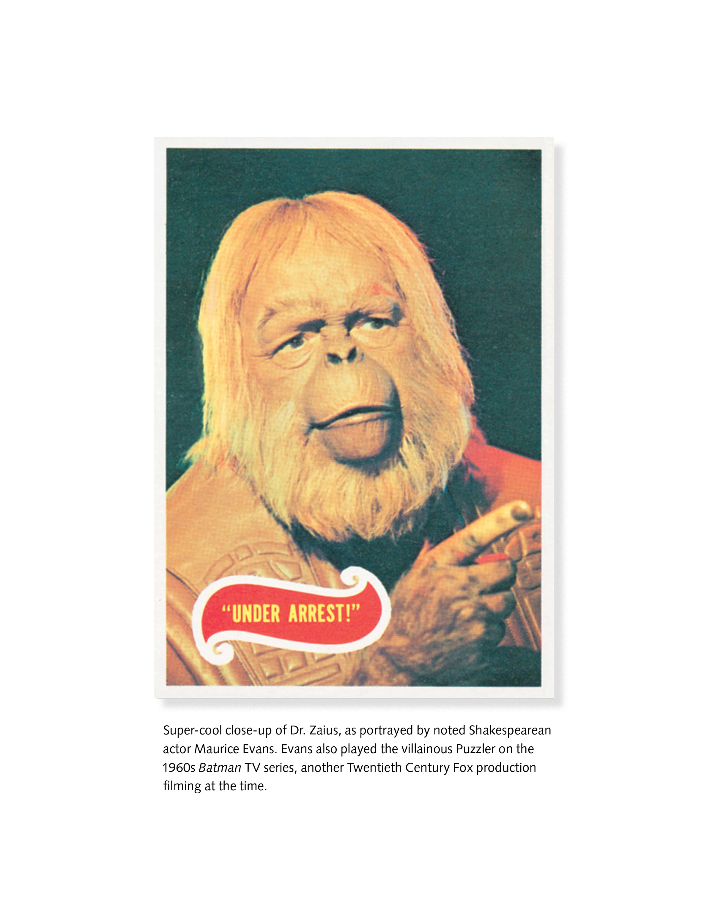 Read online Planet of the Apes: The Original Topps Trading Card Series comic -  Issue # TPB (Part 2) - 4