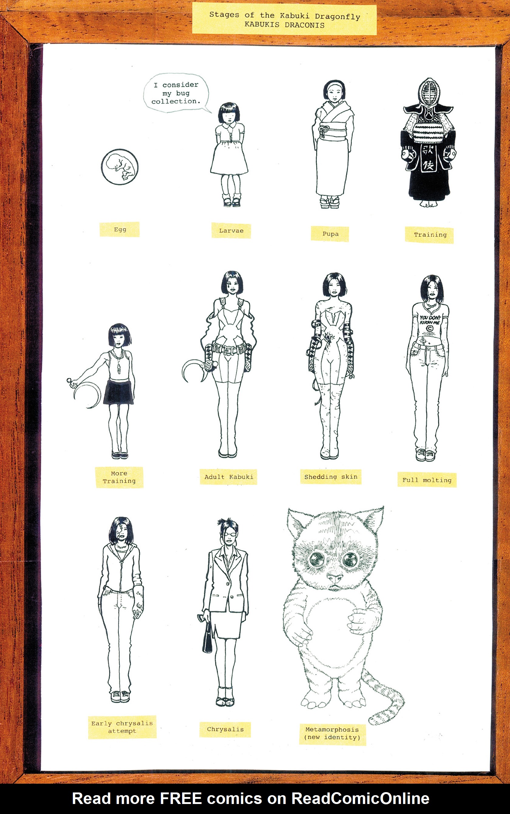 Read online Kabuki (2004) comic -  Issue #5 - 20