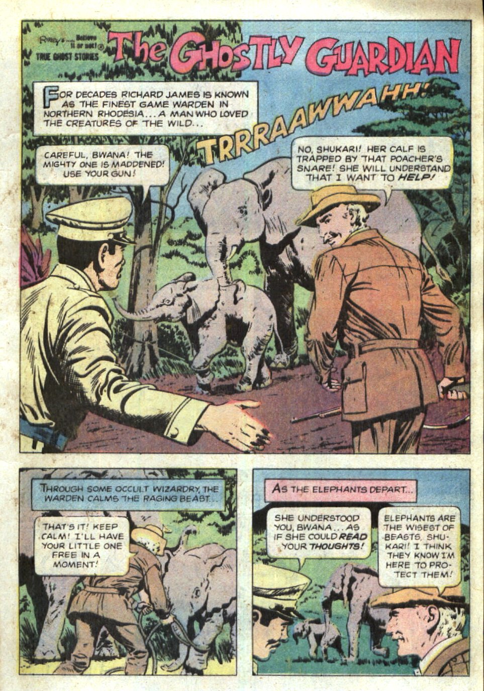 Read online Ripley's Believe it or Not! (1965) comic -  Issue #74 - 29