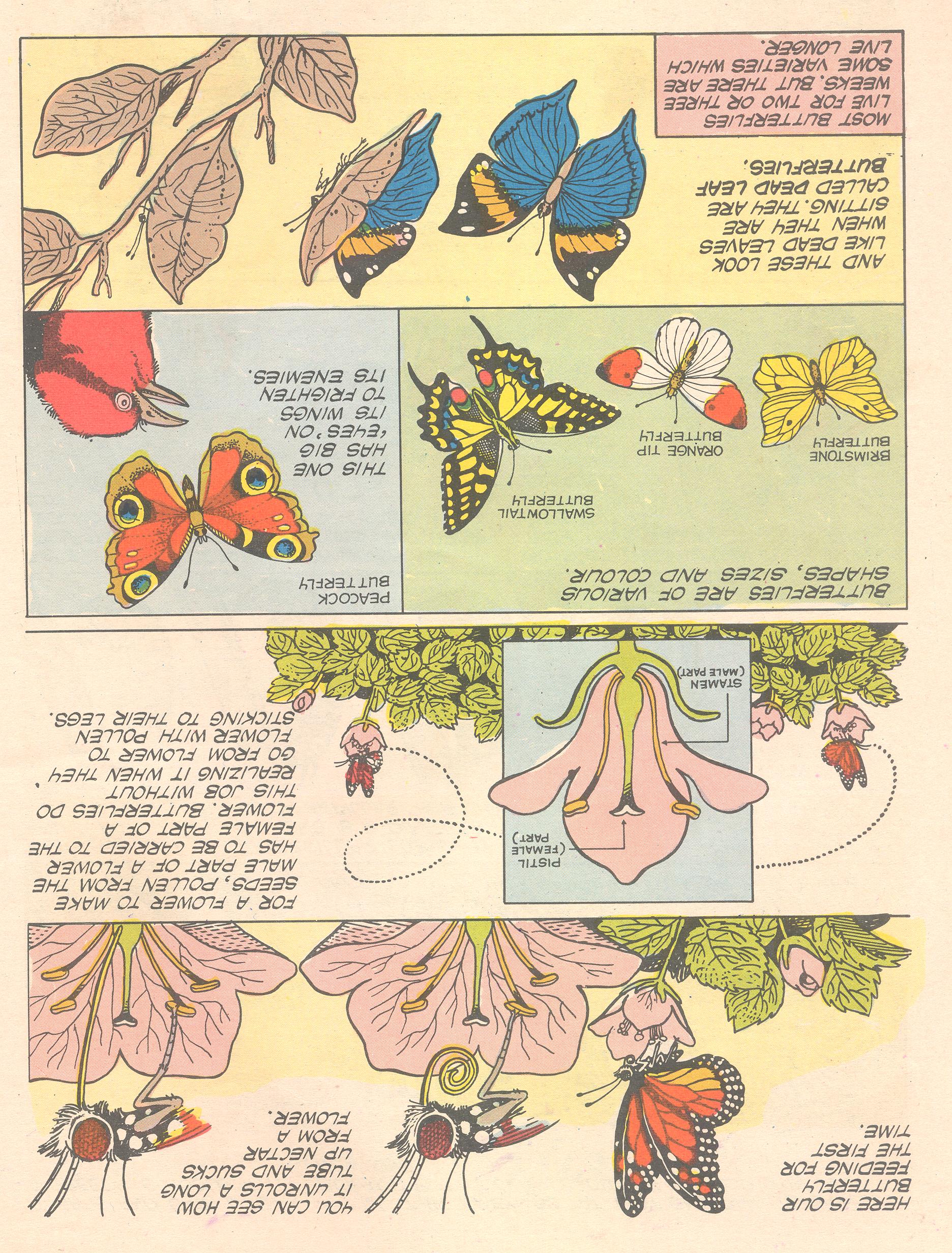 Read online Tinkle comic -  Issue #16 - 22