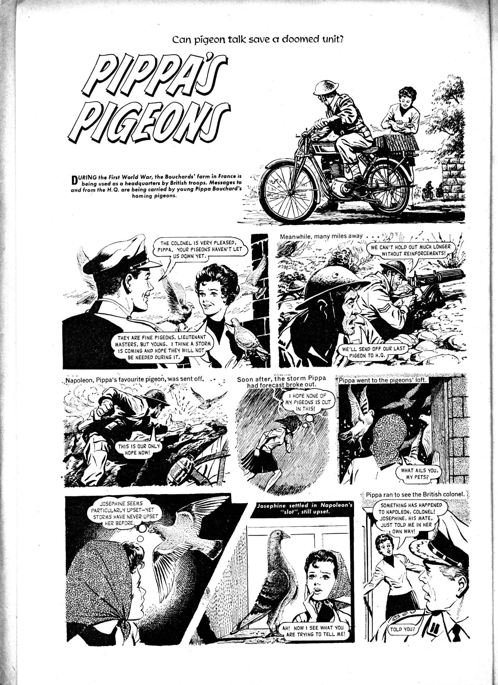 Read online Judy comic -  Issue #361 - 14