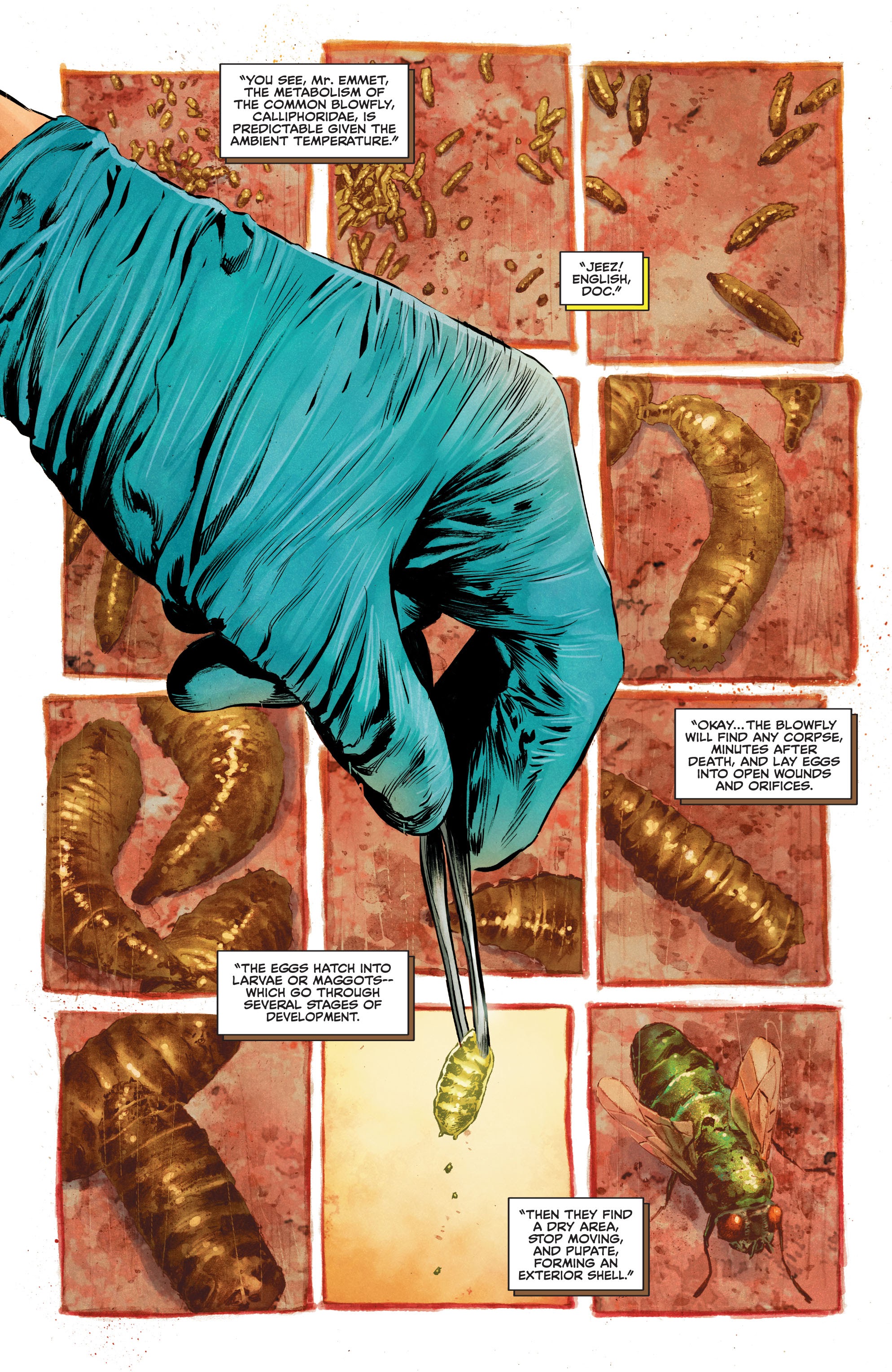 Read online The Swamp Thing comic -  Issue #1 - 3