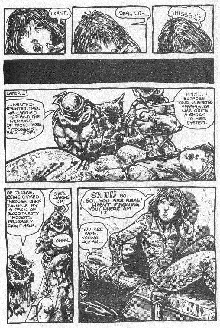 Teenage Mutant Ninja Turtles (1984) Issue #2 #2 - English 20