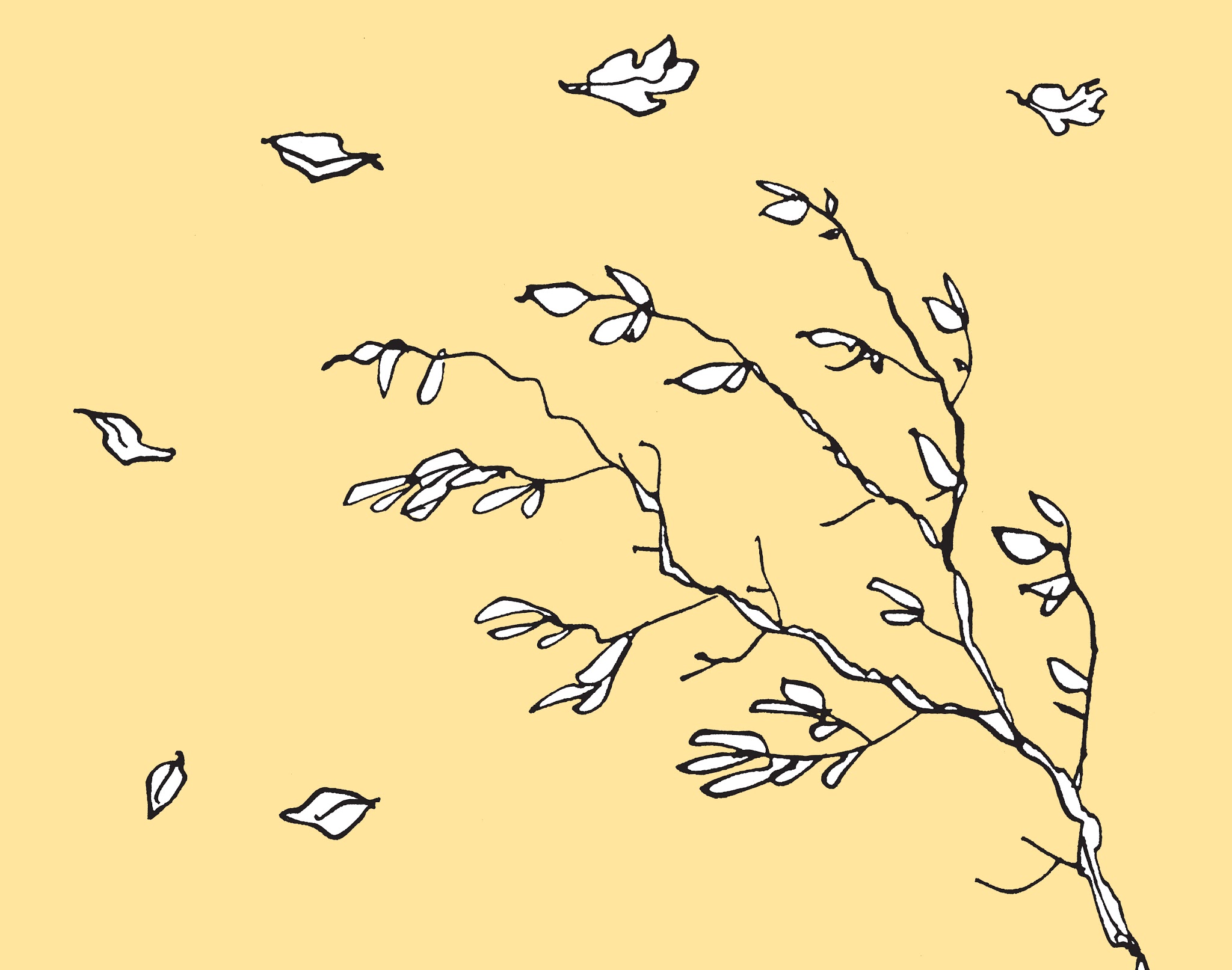 Read online The Complete Peanuts comic -  Issue # TPB 19 - 15