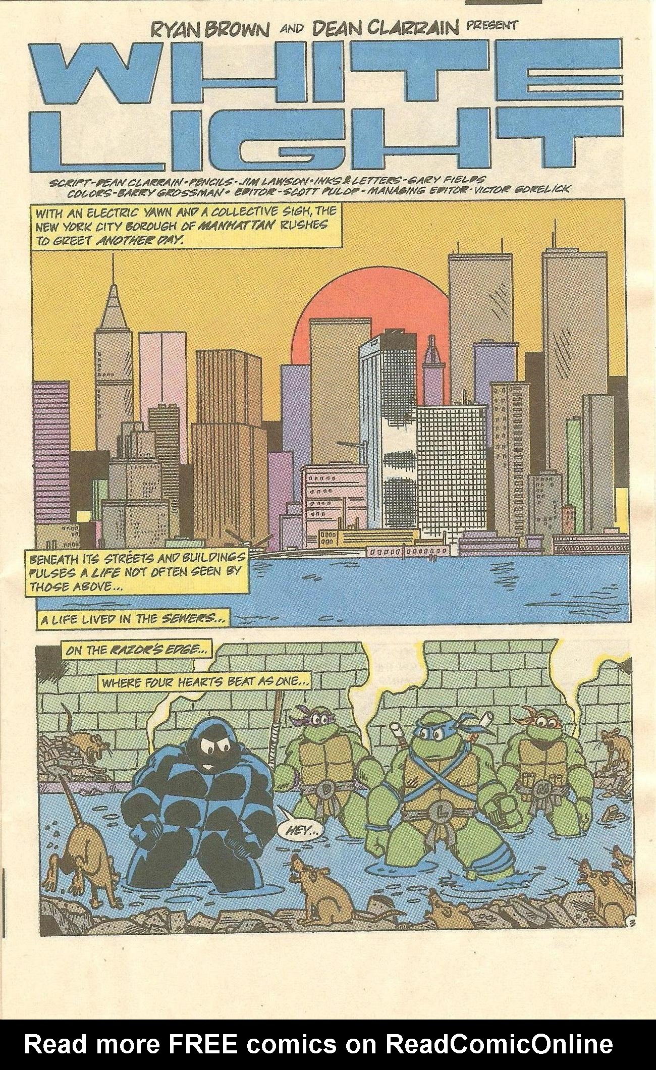 Read online Teenage Mutant Ninja Turtles Adventures (1989) comic -  Issue #11 - 4