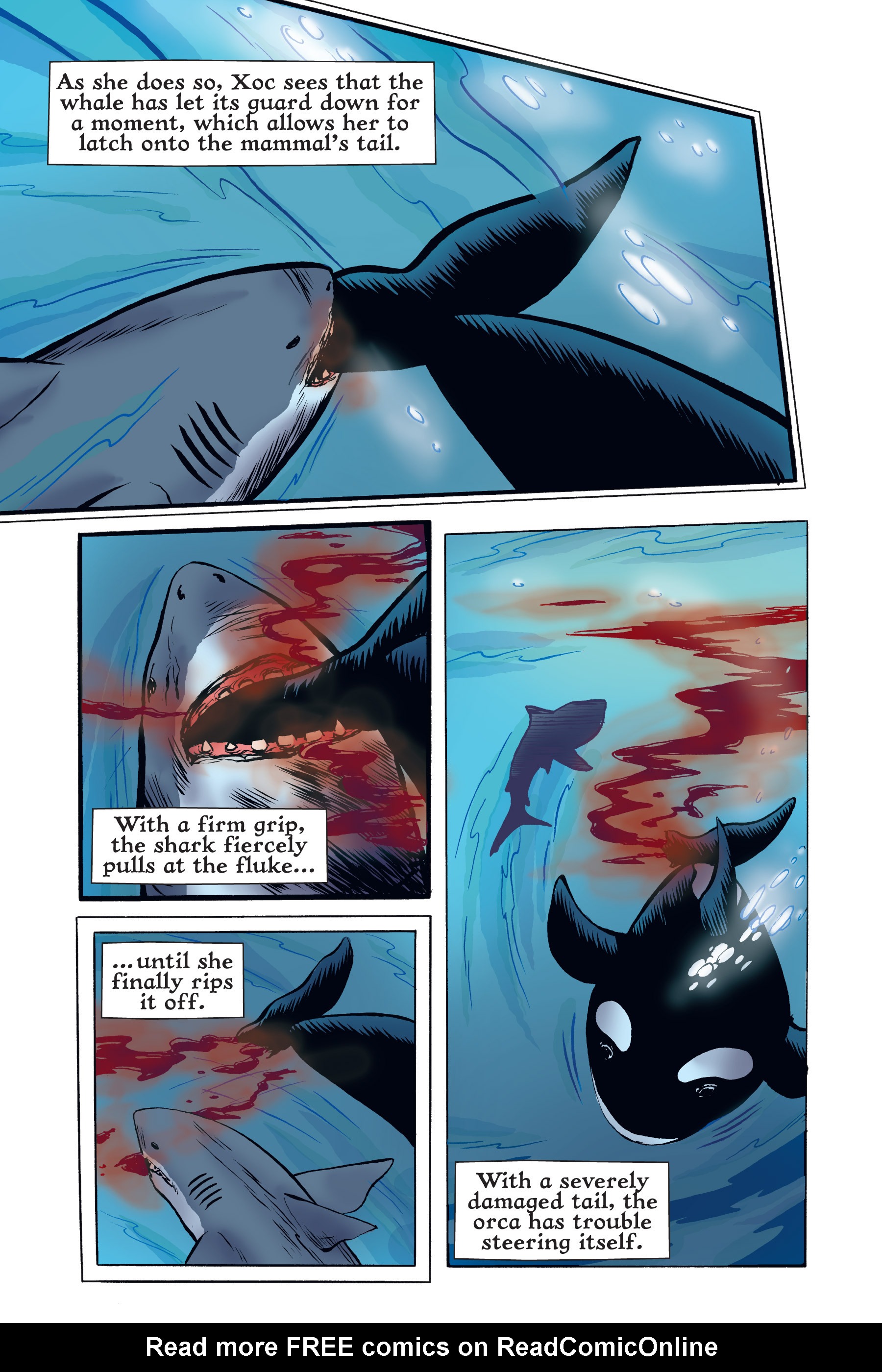 Read online Xoc: Journey of a Great White comic -  Issue # TPB - 121