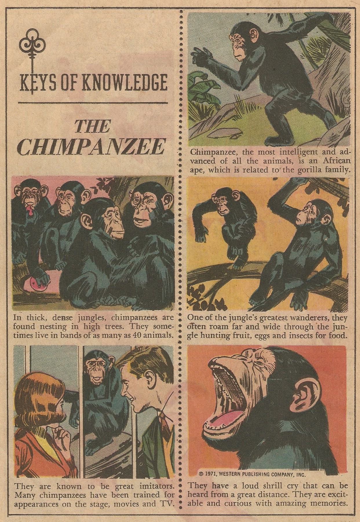 Read online Magnus, Robot Fighter 4000 AD comic -  Issue #30 - 18