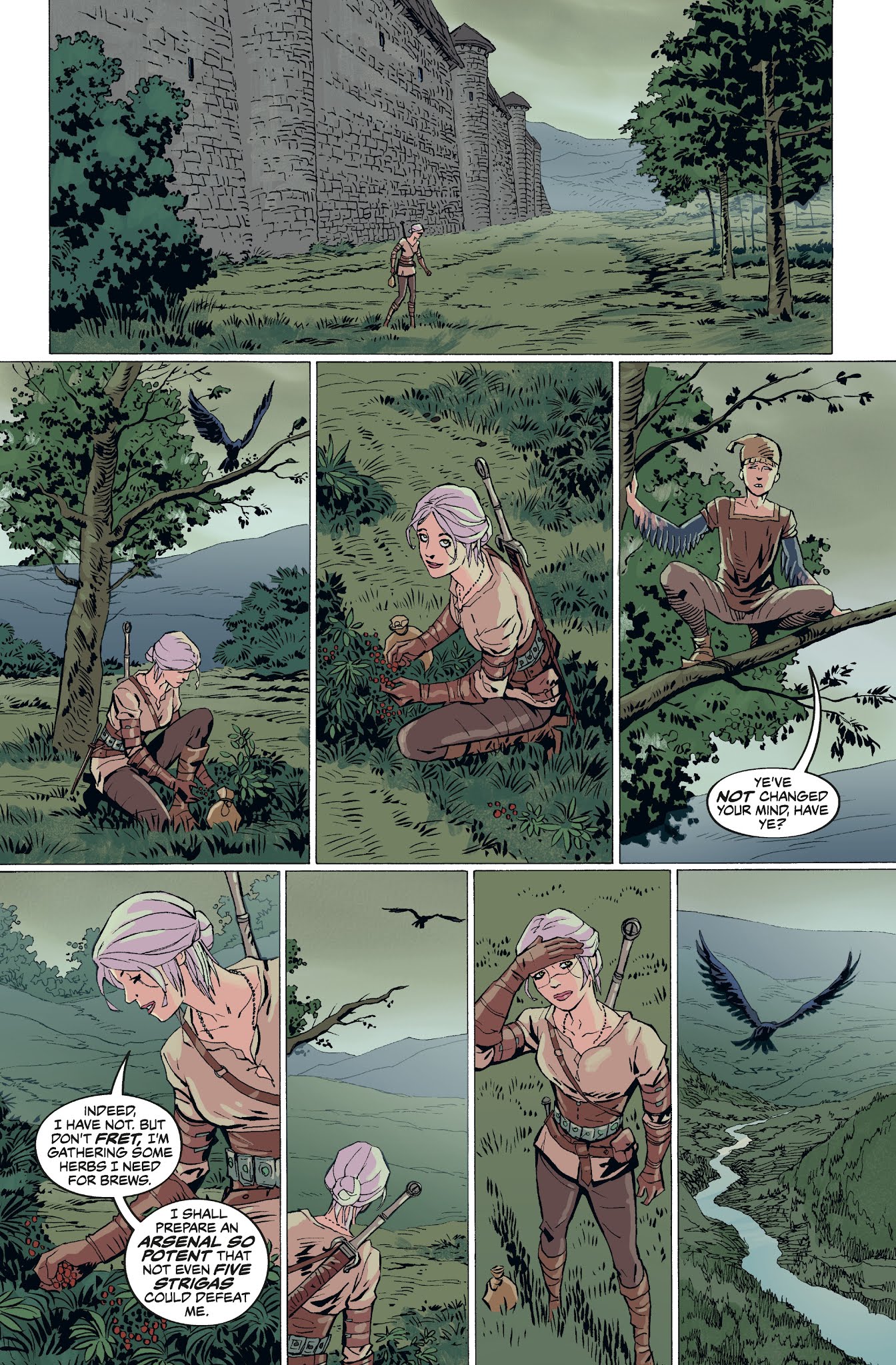 Read online The Witcher: Library Edition comic -  Issue # TPB (Part 4) - 80