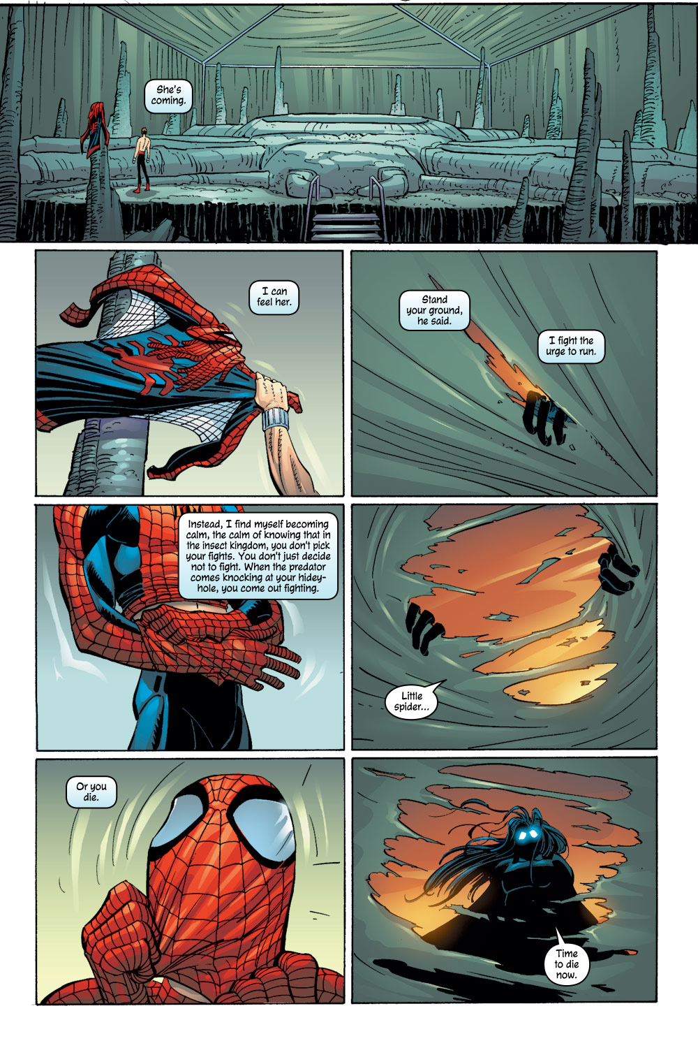 The Amazing Spider-Man (1999) issue 48 - Page 14