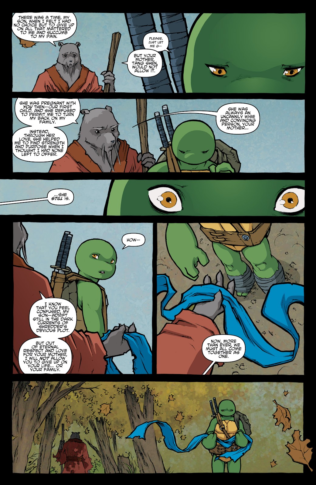 Teenage Mutant Ninja Turtles (2011) issue 31 - Page 14