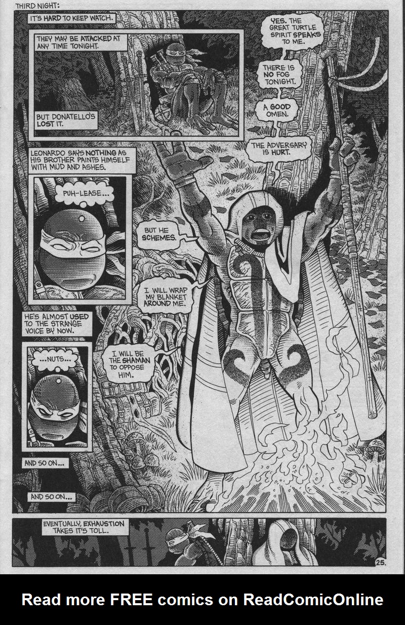 Read online Teenage Mutant Ninja Turtles (1984) comic -  Issue #37 - 25