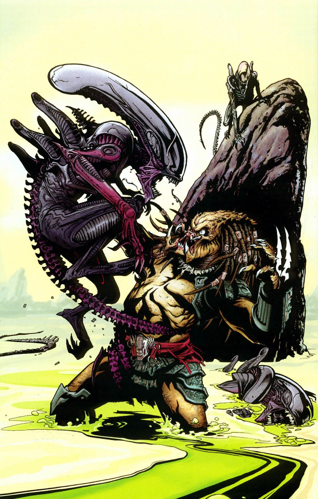 Aliens vs. Predator Annual issue Full - Page 46