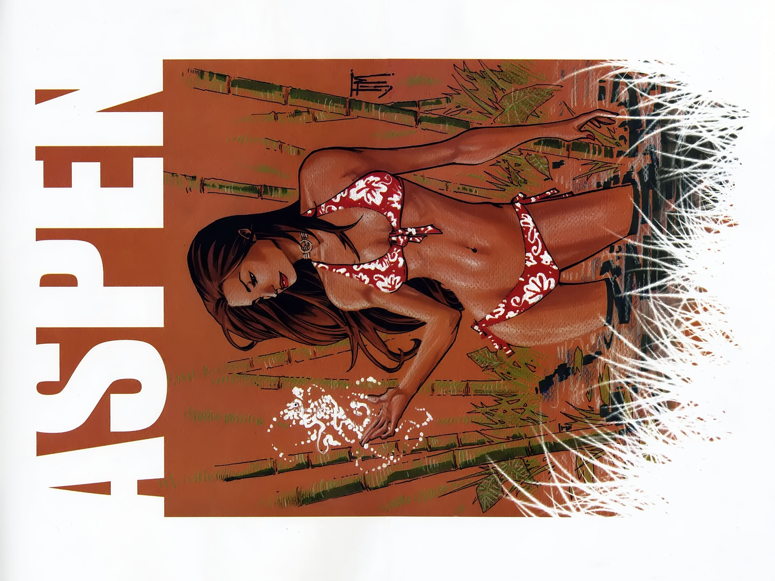 Read online Aspen Splash: Swimsuit Spectacular comic -  Issue # Issue 2008 - 4