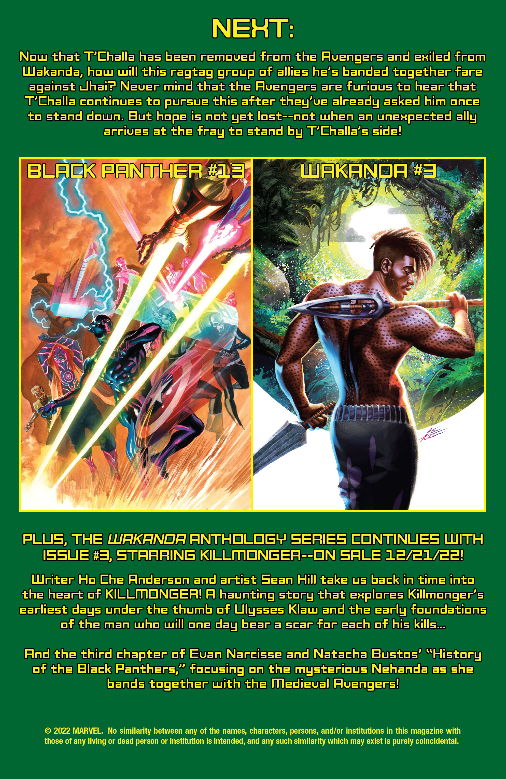 Read online Black Panther (2021) comic -  Issue #12 - 24