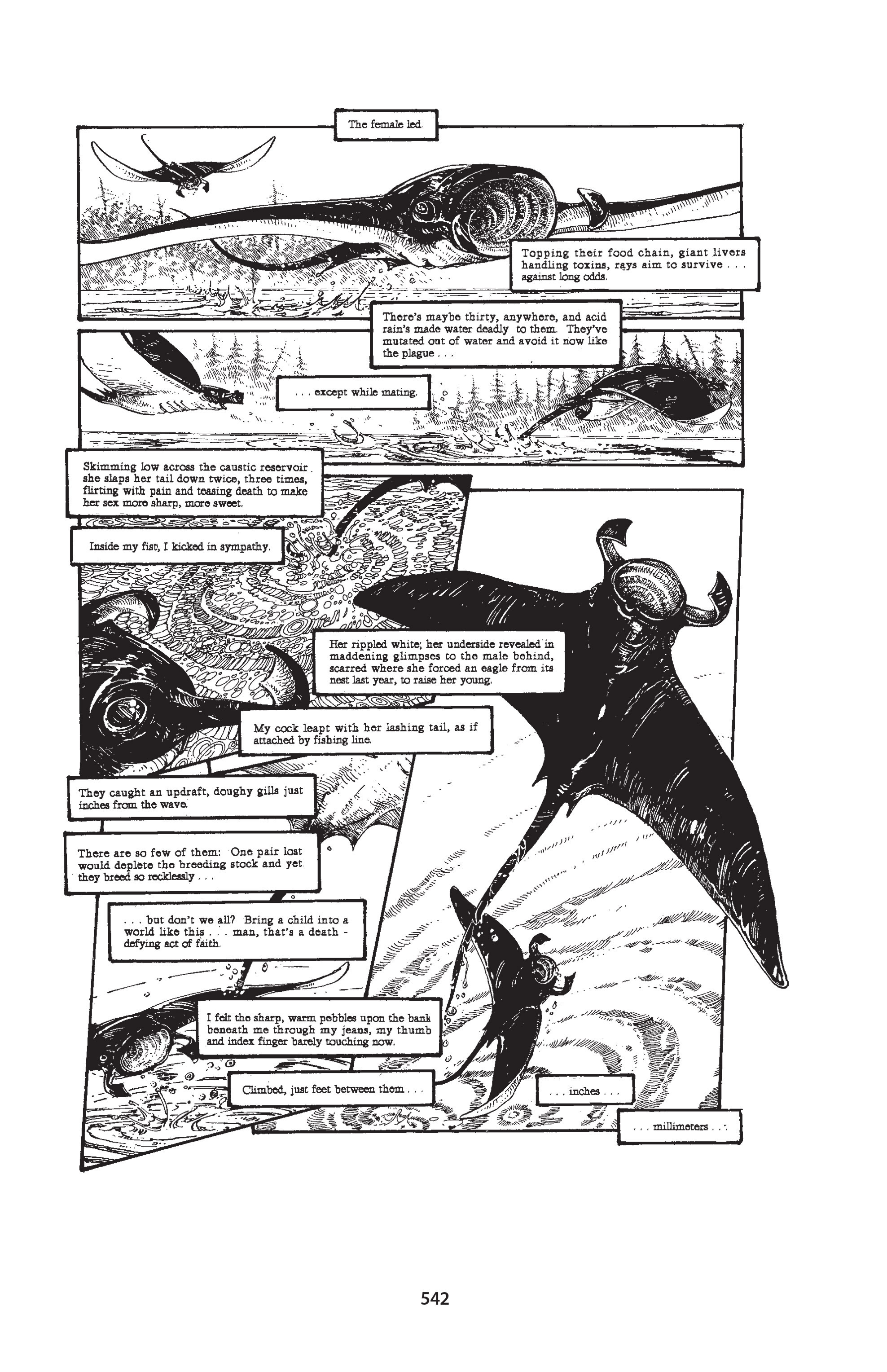 Read online The Puma Blues comic -  Issue # TPB (Part2) - 270