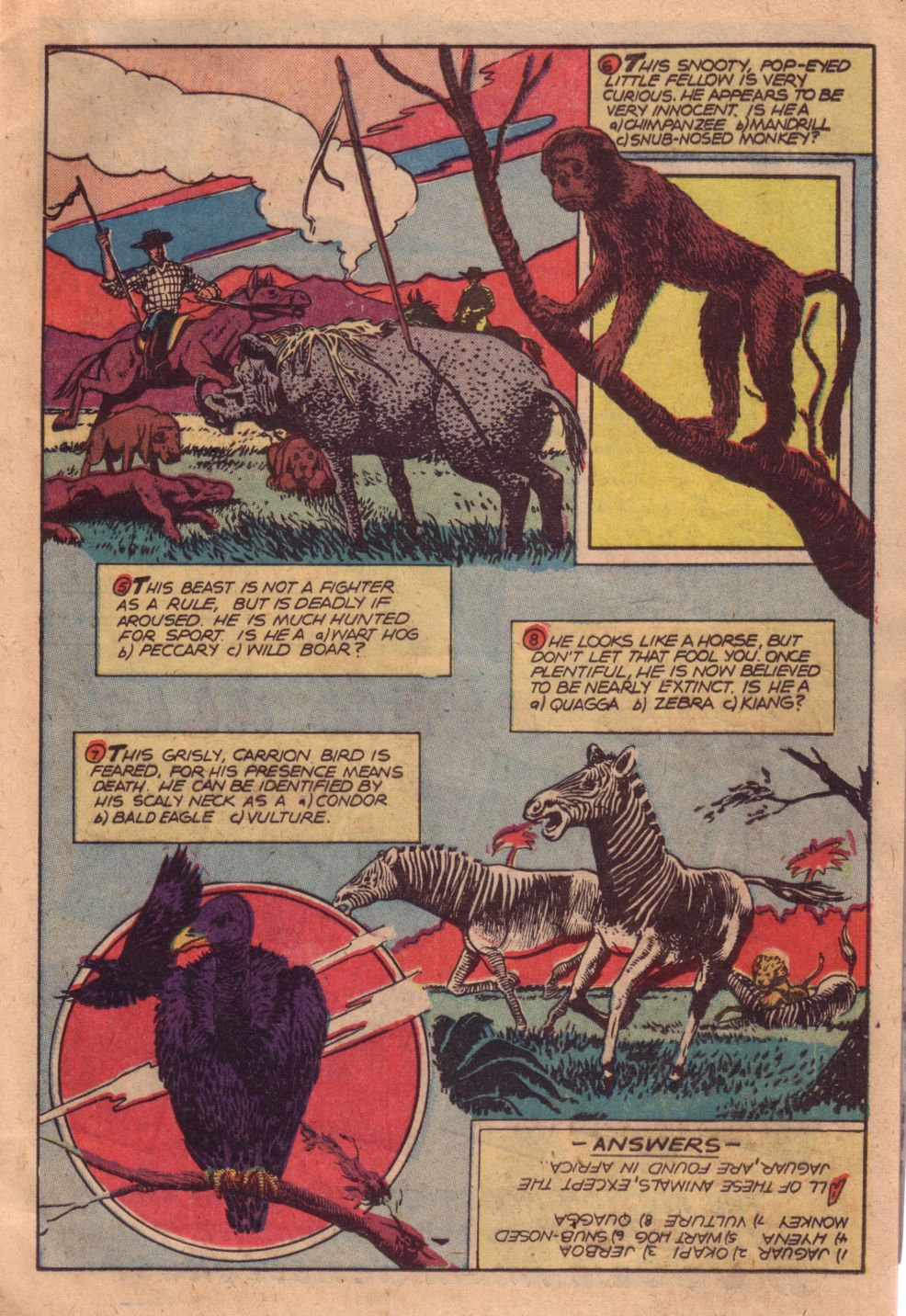 Read online Wambi Jungle Boy comic -  Issue #11 - 13