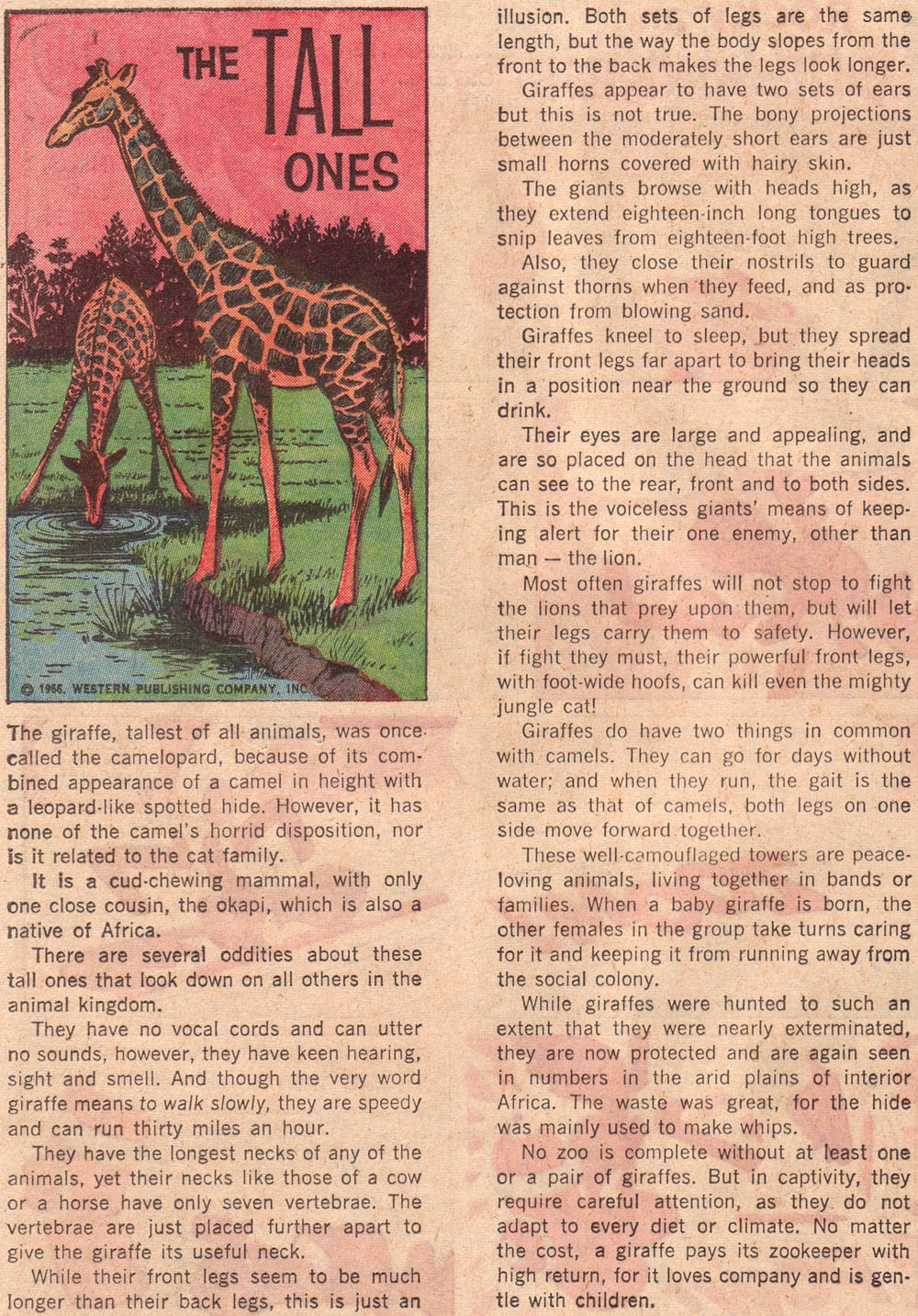 Read online Korak, Son of Tarzan (1964) comic -  Issue #13 - 20