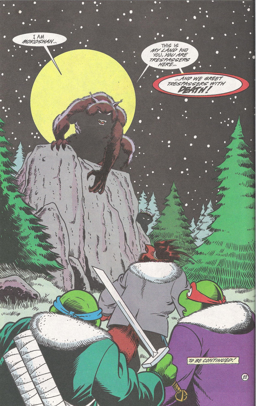 Read online Teenage Mutant Ninja Turtles Adventures (1989) comic -  Issue #67 - 24