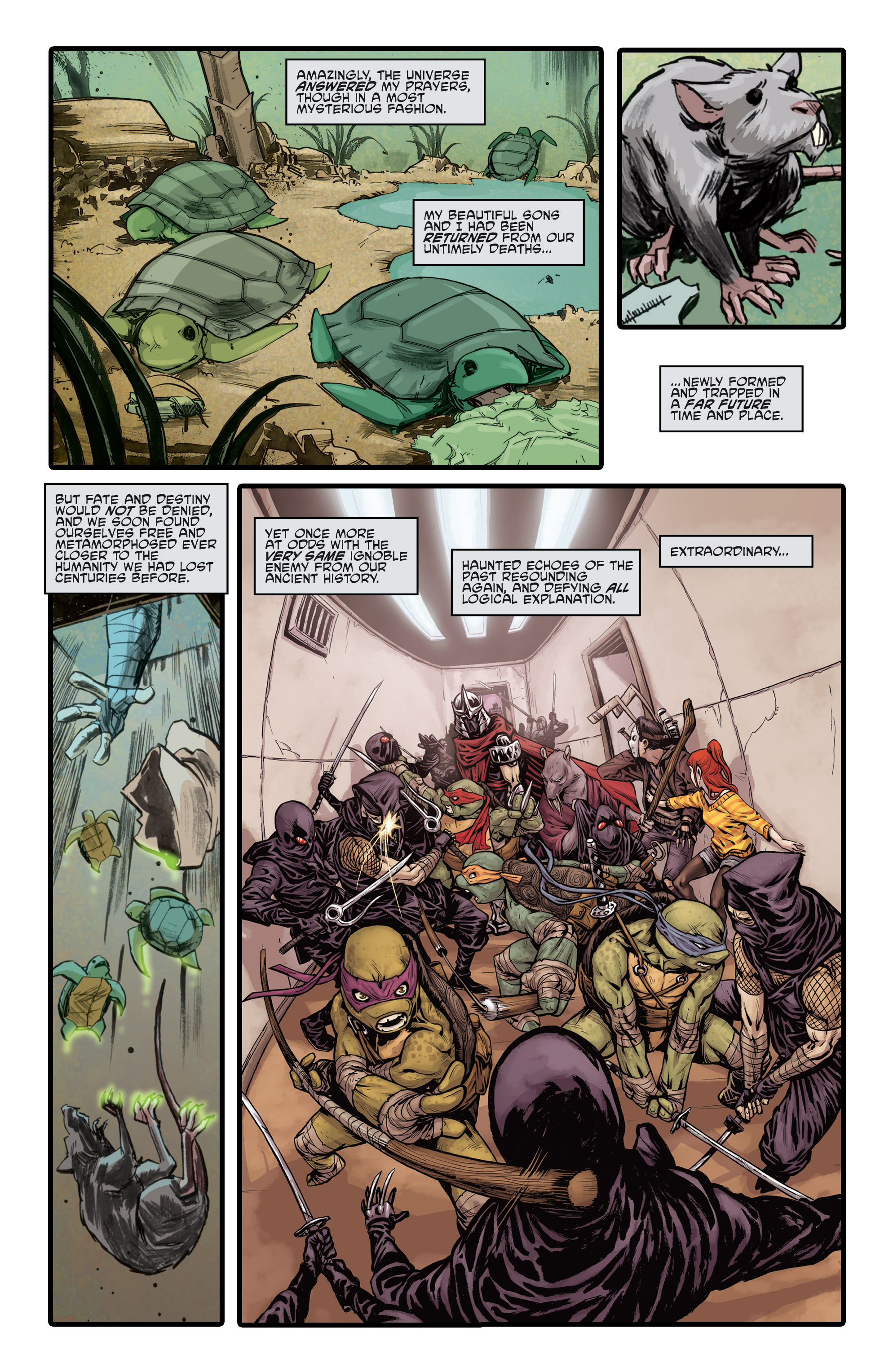 Read online Free Comic Book Day 2015 comic -  Issue # Teenage Mutant Ninja Turtles - Prelude to Vengeance - 5