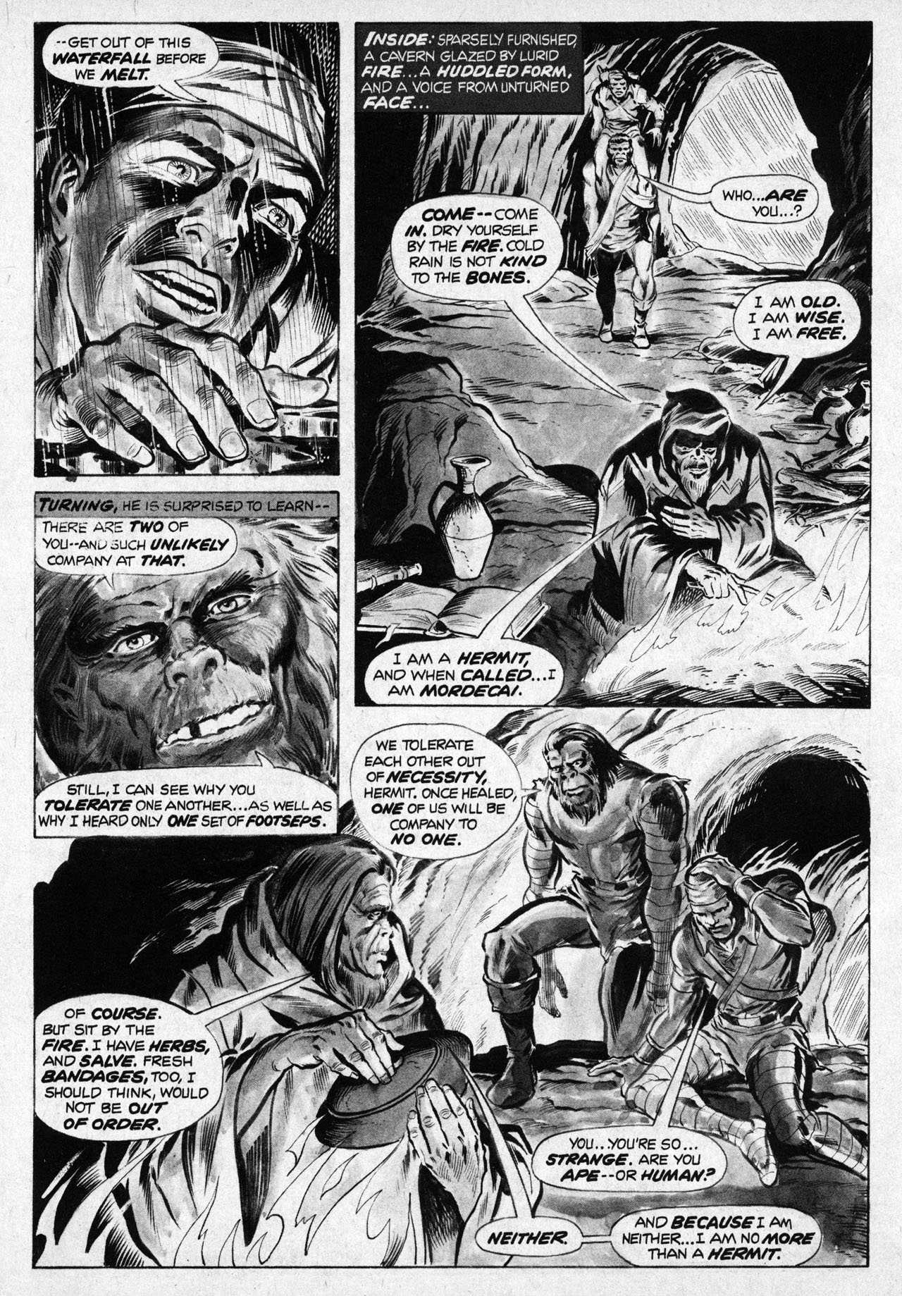 Read online Planet of the Apes comic -  Issue #5 - 23