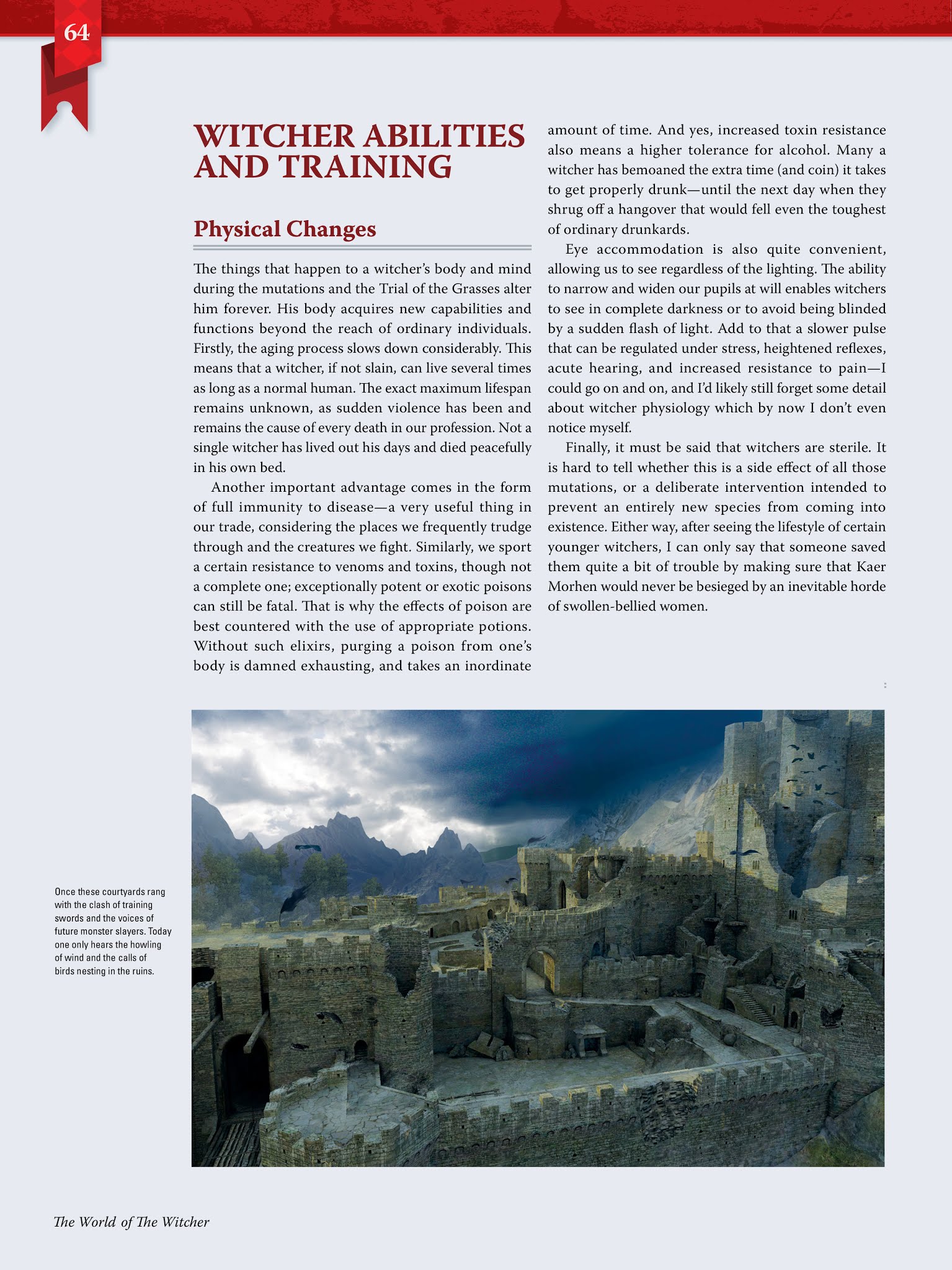 Read online The World of the Witcher comic -  Issue # TPB (Part 1) - 59