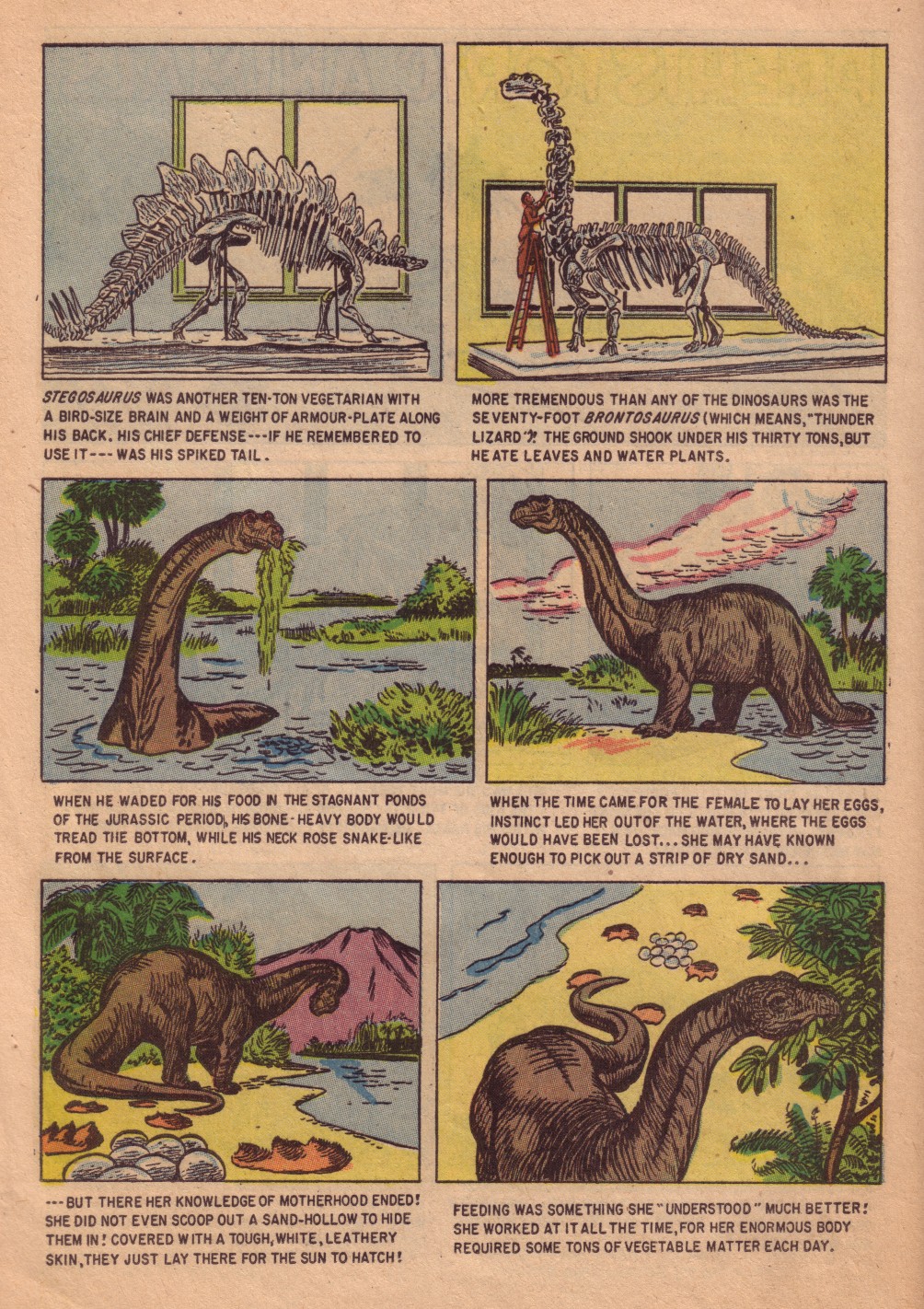 Read online Four Color Comics comic -  Issue #713 - 12