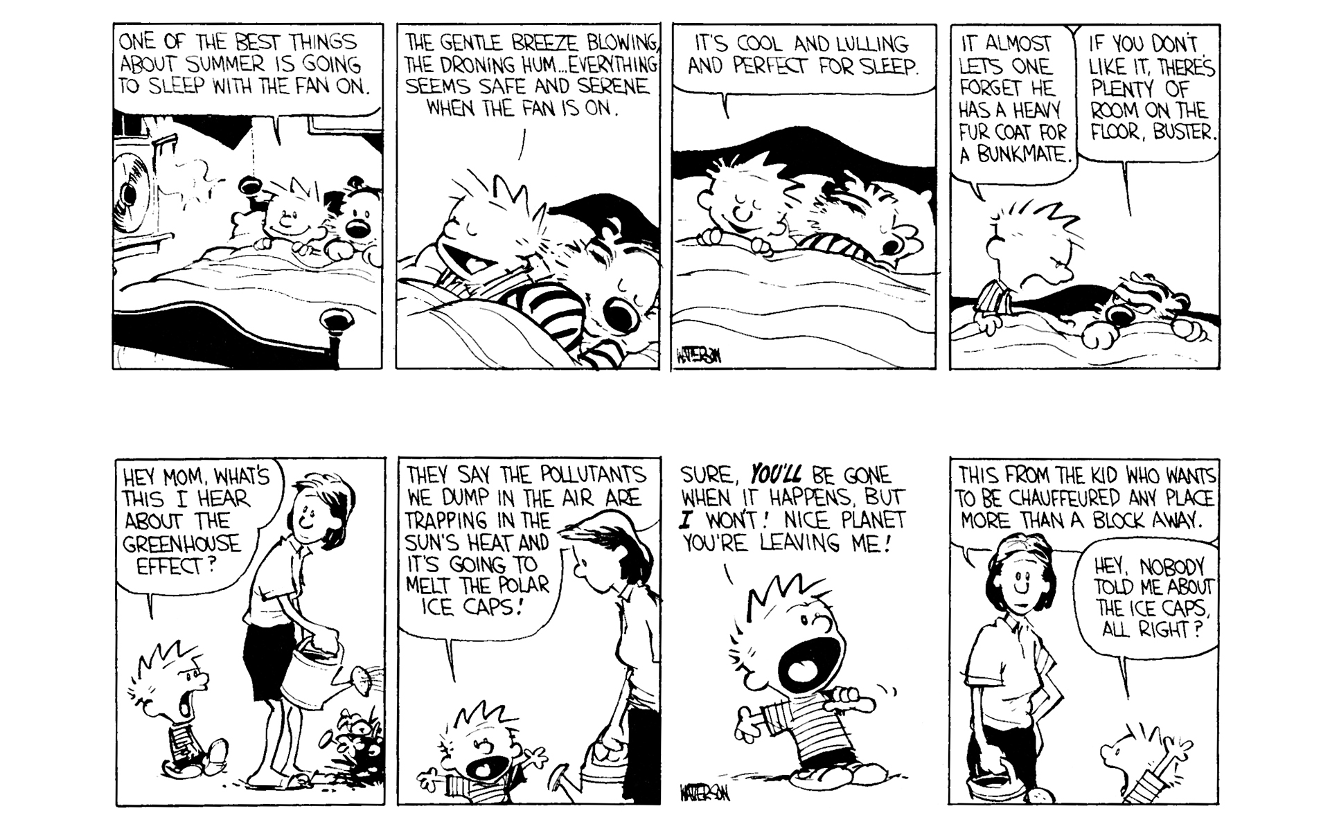 Read online Calvin and Hobbes comic -  Issue #3 - 40