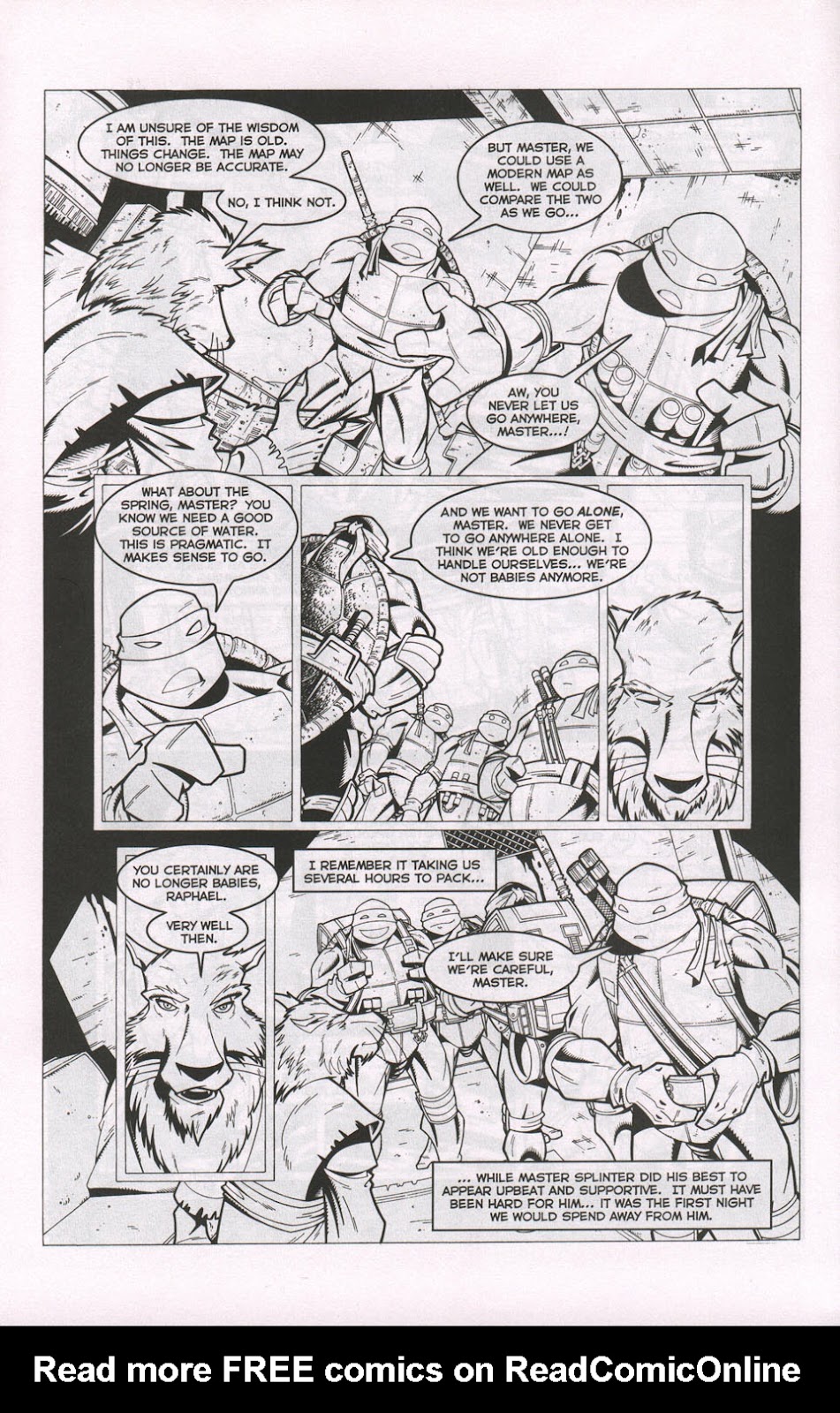 Tales of the TMNT issue 1 - Page 11
