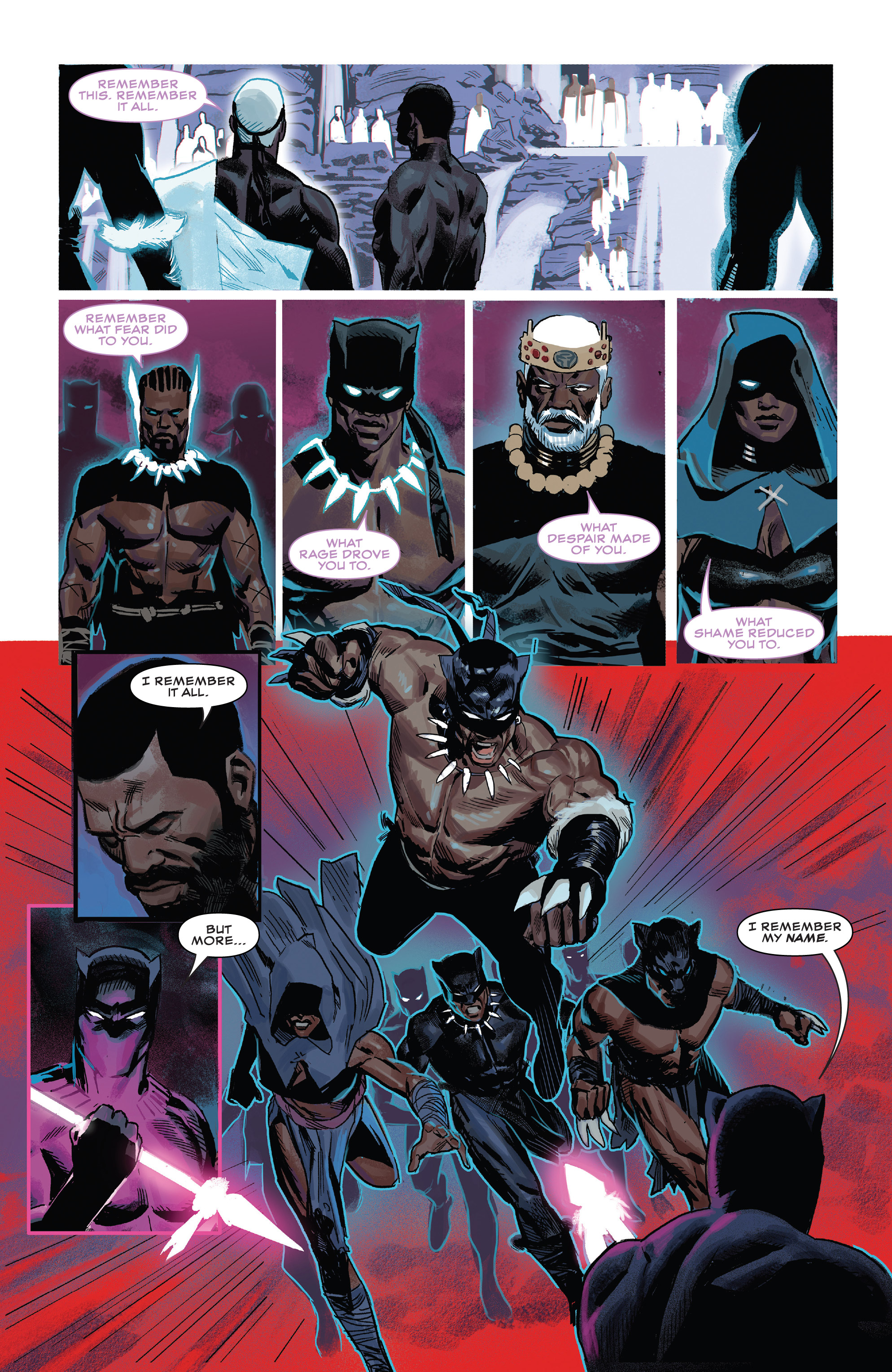 Read online Black Panther (2018) comic -  Issue #20 - 15