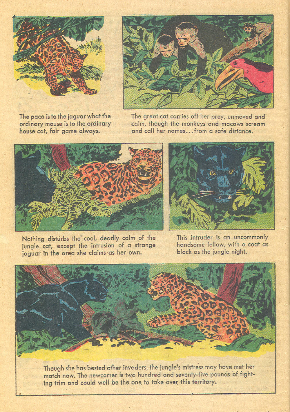 Read online Four Color Comics comic -  Issue #1136 - 12