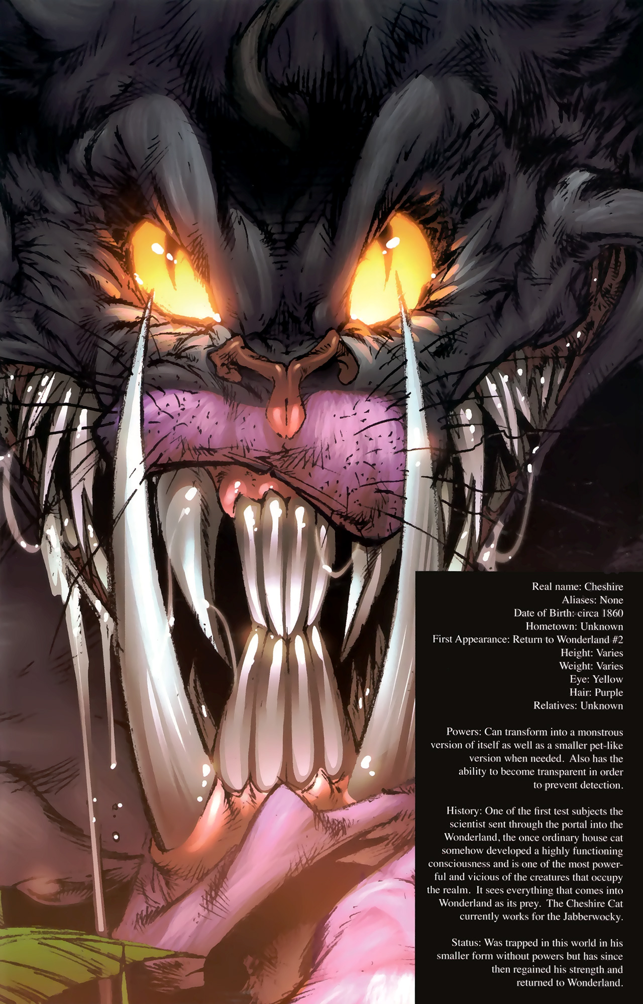 Read online Grimm Fairy Tales: Escape From Wonderland comic -  Issue #0 - 18