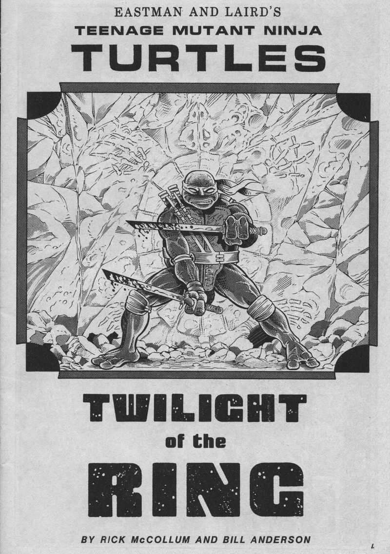 Read online Teenage Mutant Ninja Turtles (1984) comic -  Issue #37 - 2