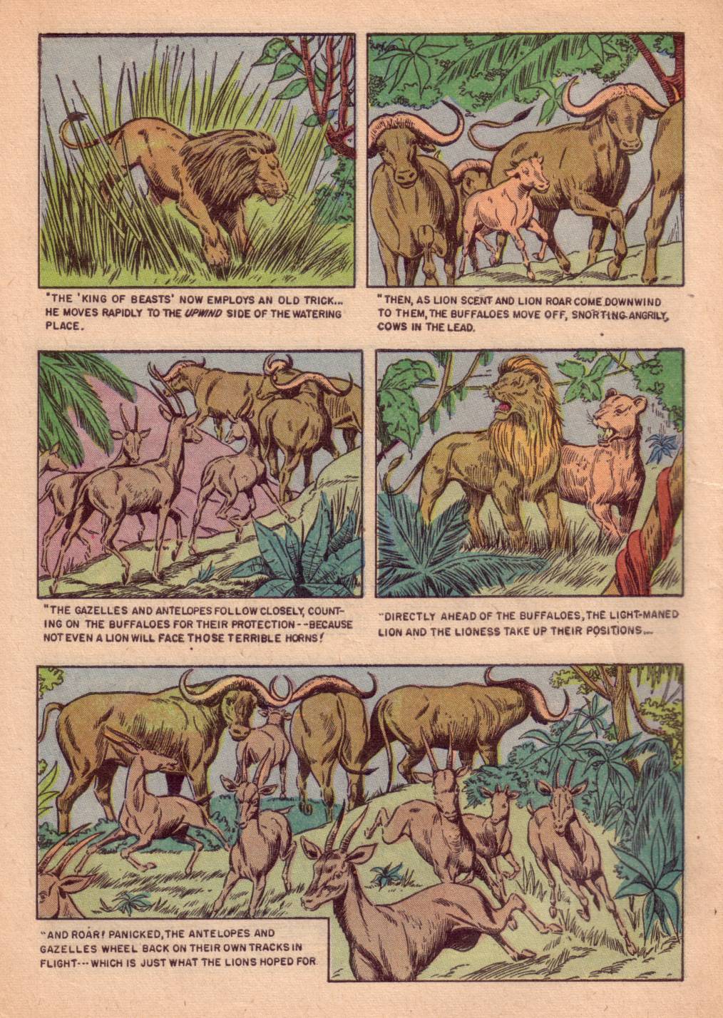 Read online Four Color Comics comic -  Issue #662 - 6