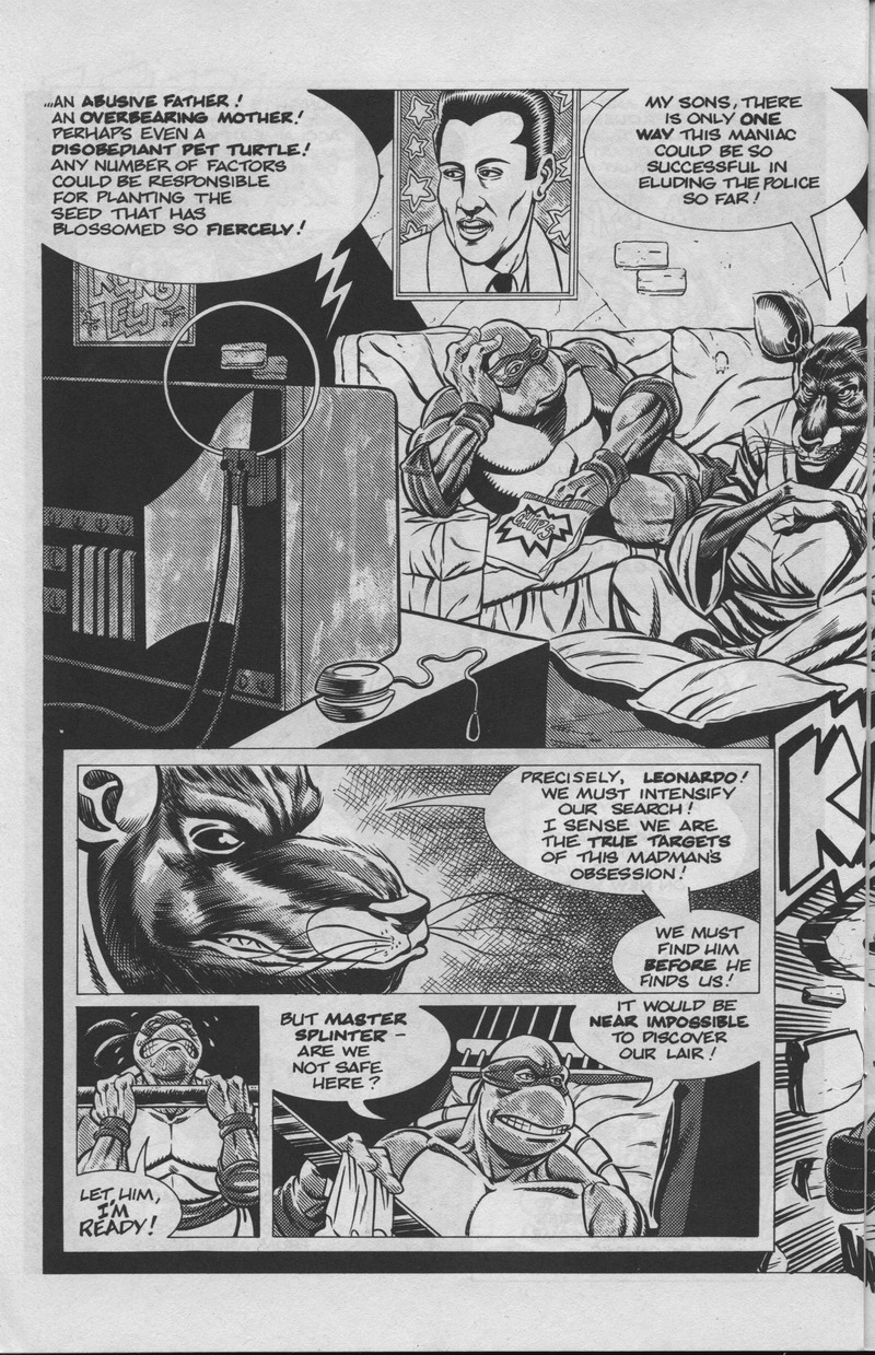 Teenage Mutant Ninja Turtles (1984) Issue #34 #34 - English 21
