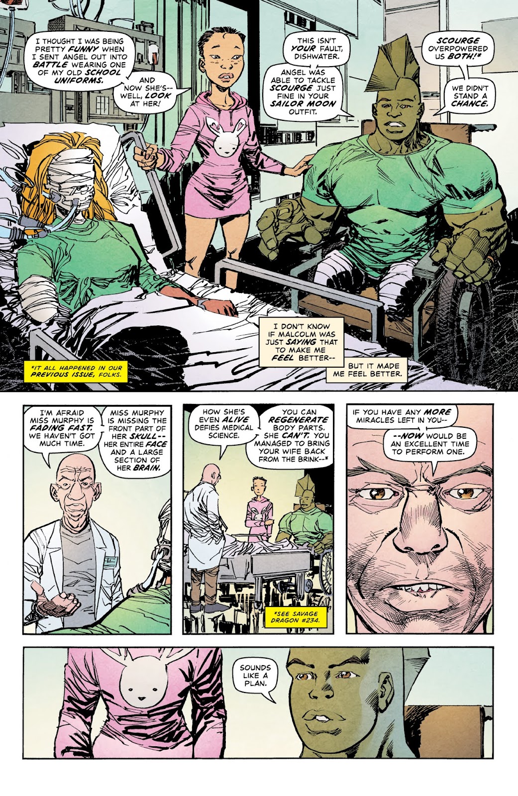 The Savage Dragon (1993) issue 238 - Page 4