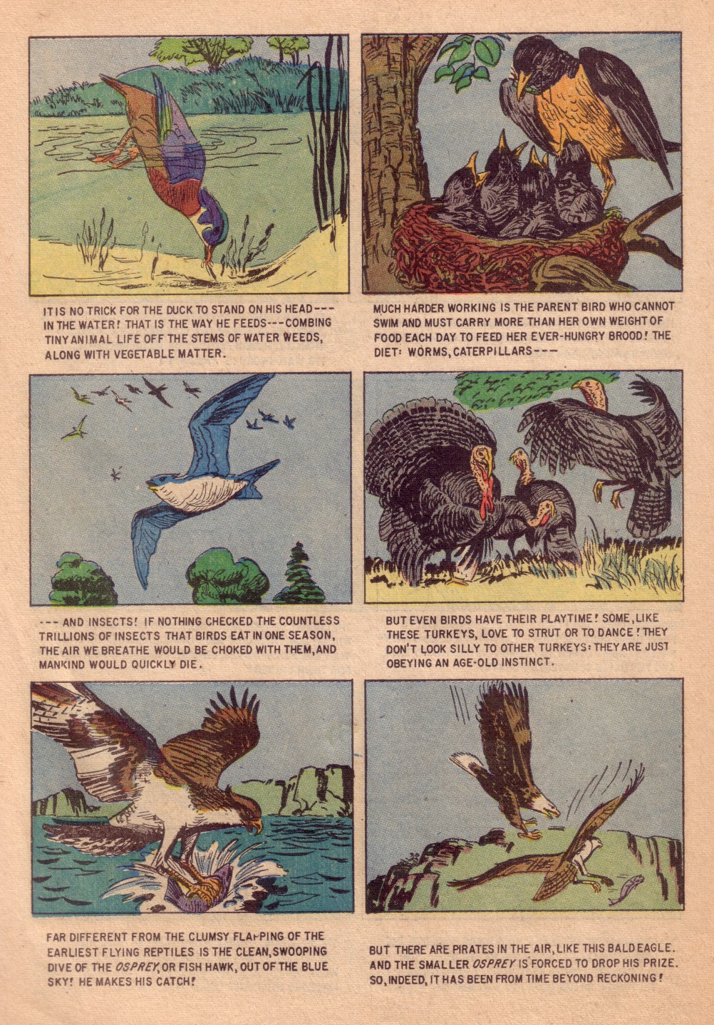 Read online Four Color Comics comic -  Issue #713 - 26