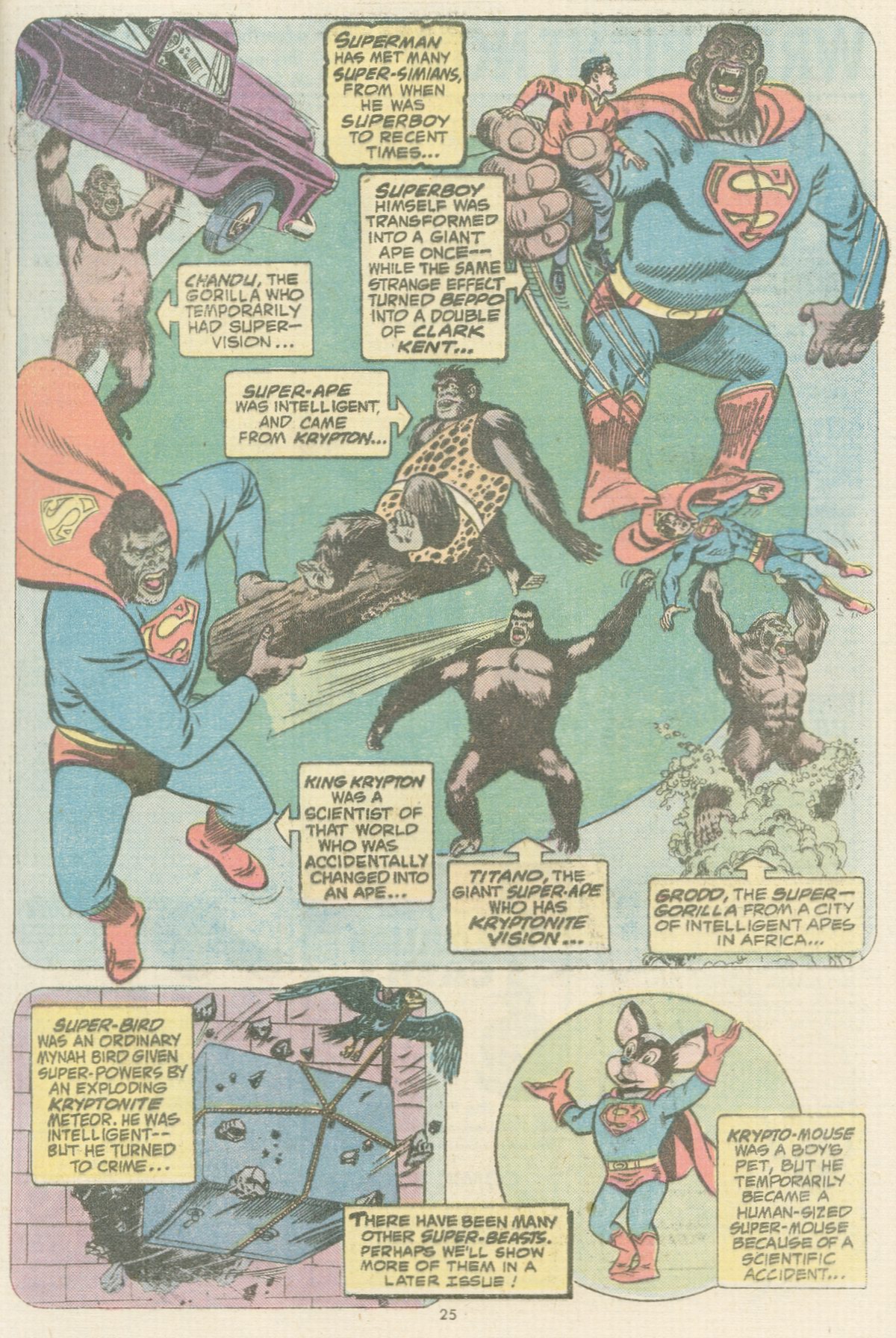 Read online The Superman Family comic -  Issue #167 - 25