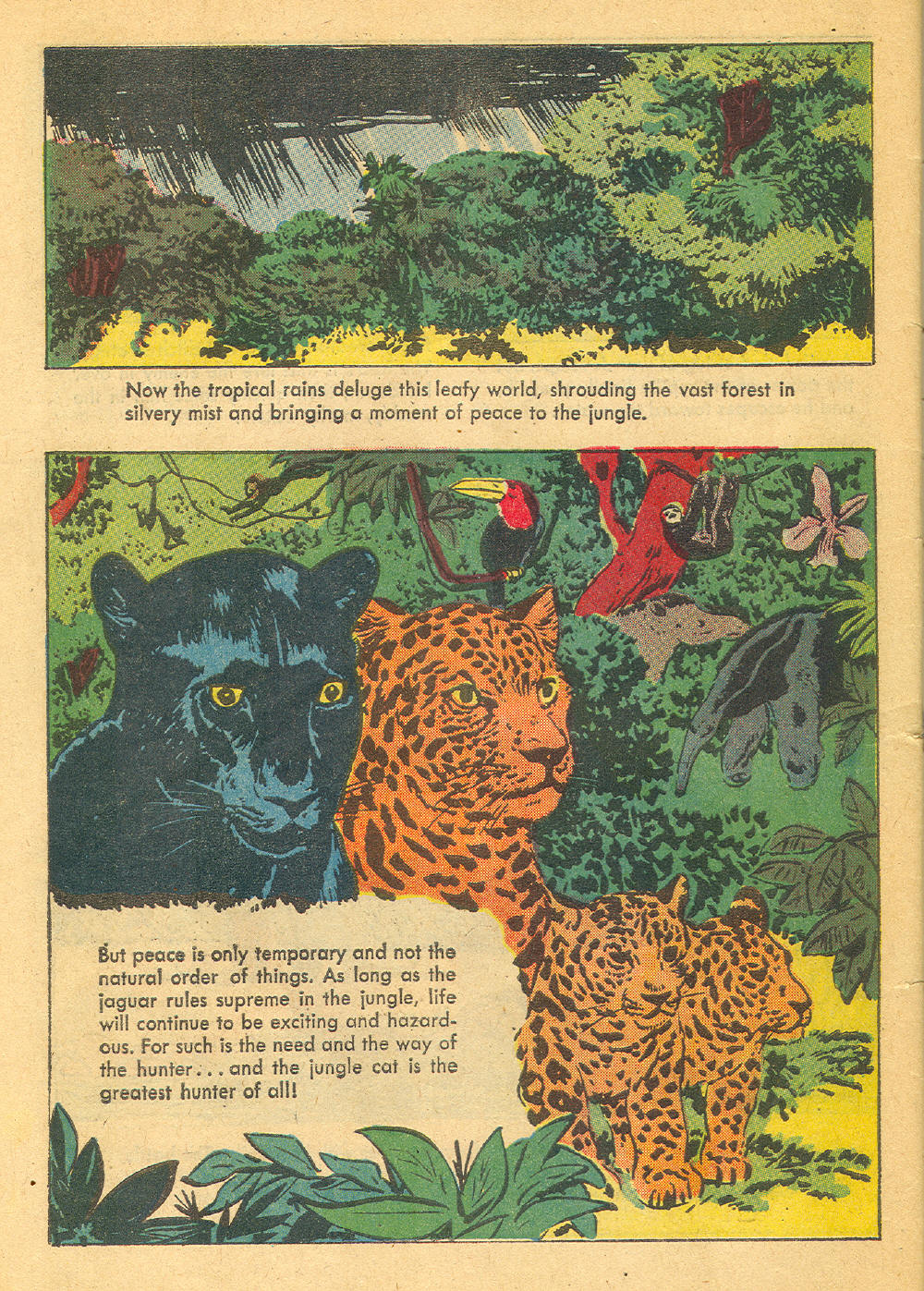 Read online Four Color Comics comic -  Issue #1136 - 34