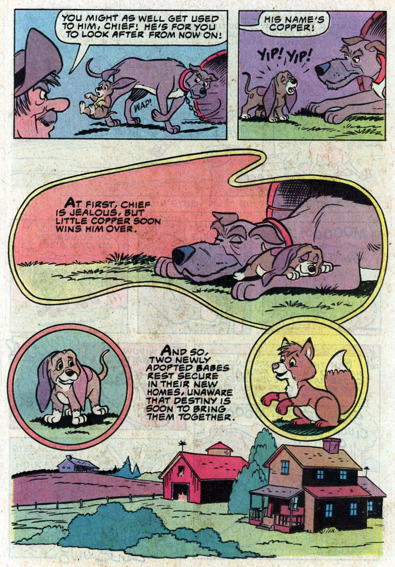 Read online Walt Disney Productions' The Fox and the Hound comic -  Issue #1 - 11