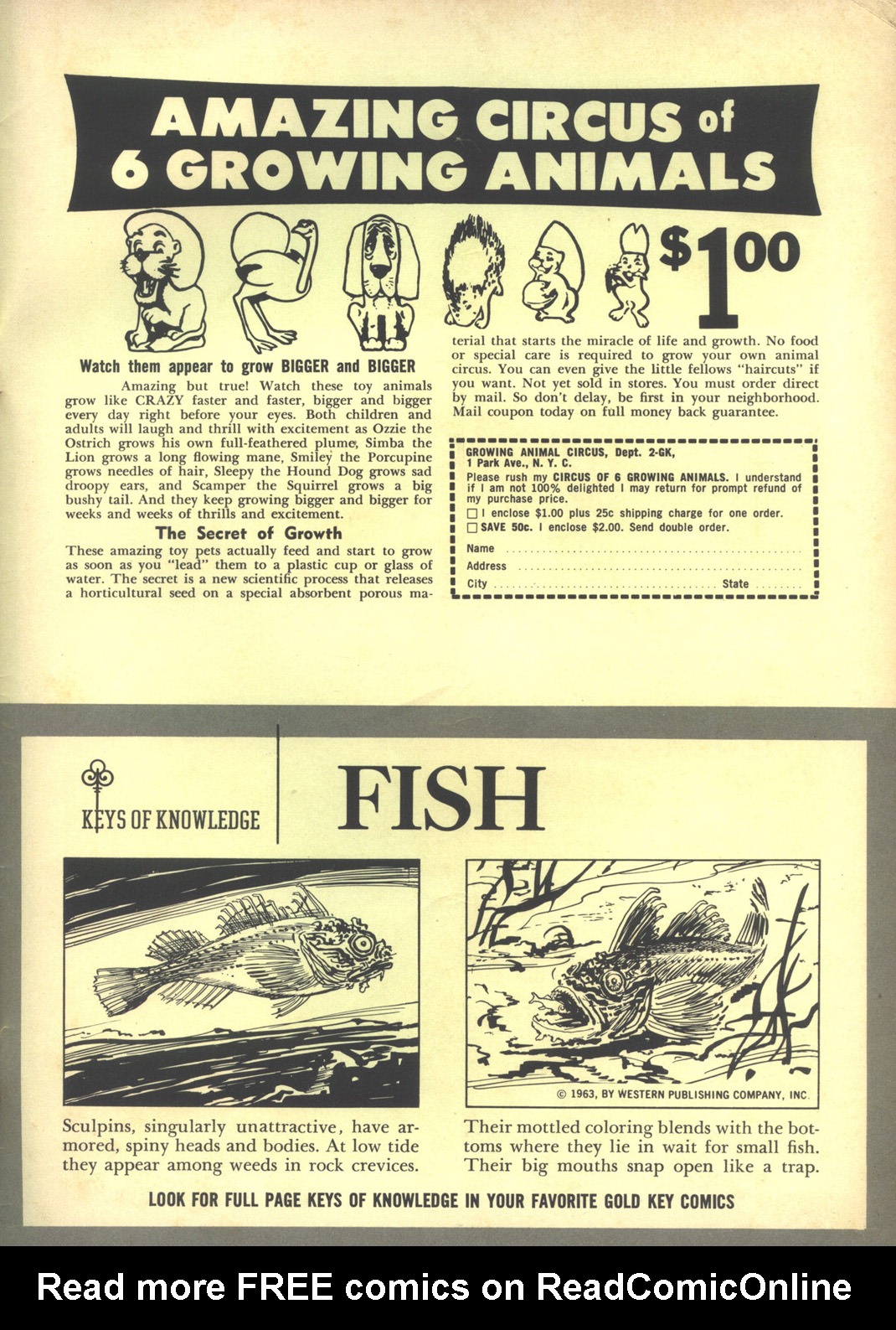 Walt Disney's Comics and Stories issue 280 - Page 34